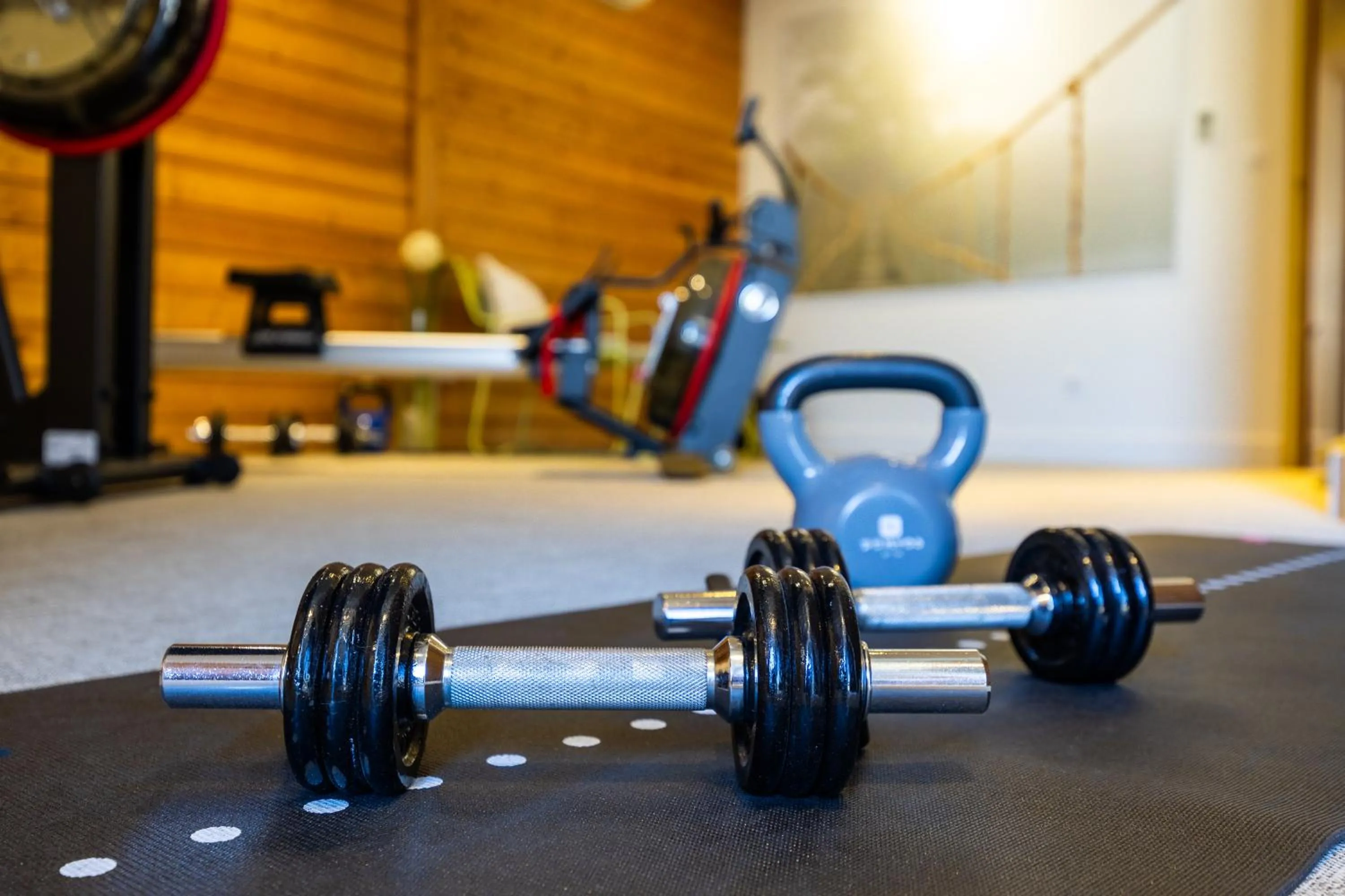 Fitness centre/facilities in Hôtel Le Griffon d'Or