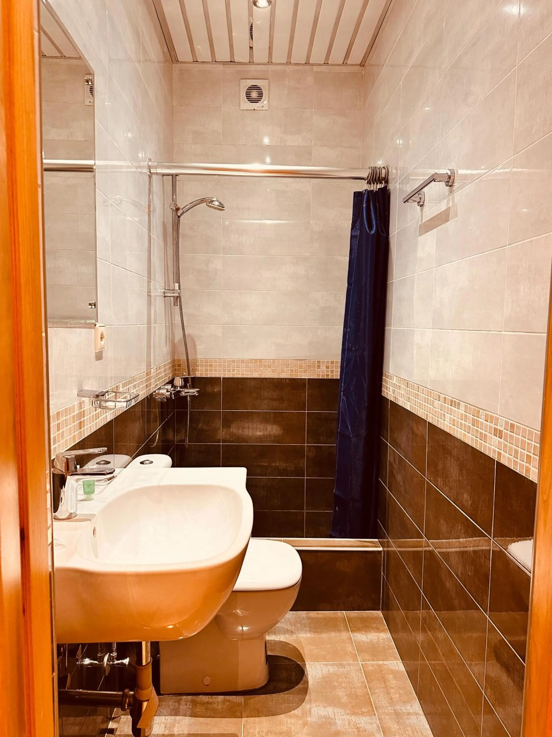 Toilet in Iceberg Hotel