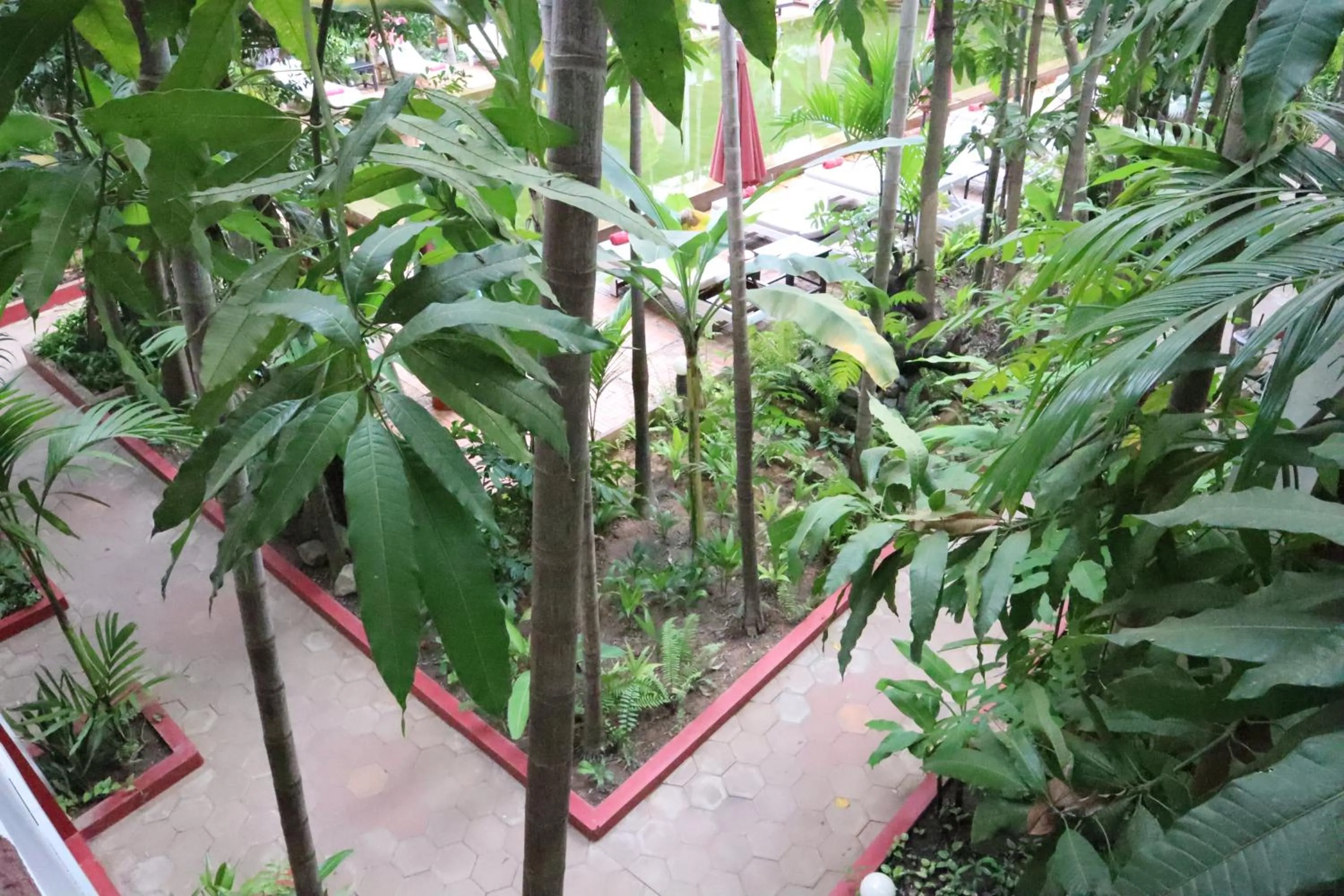 Property building in La Niche D'angkor Boutique Hotel