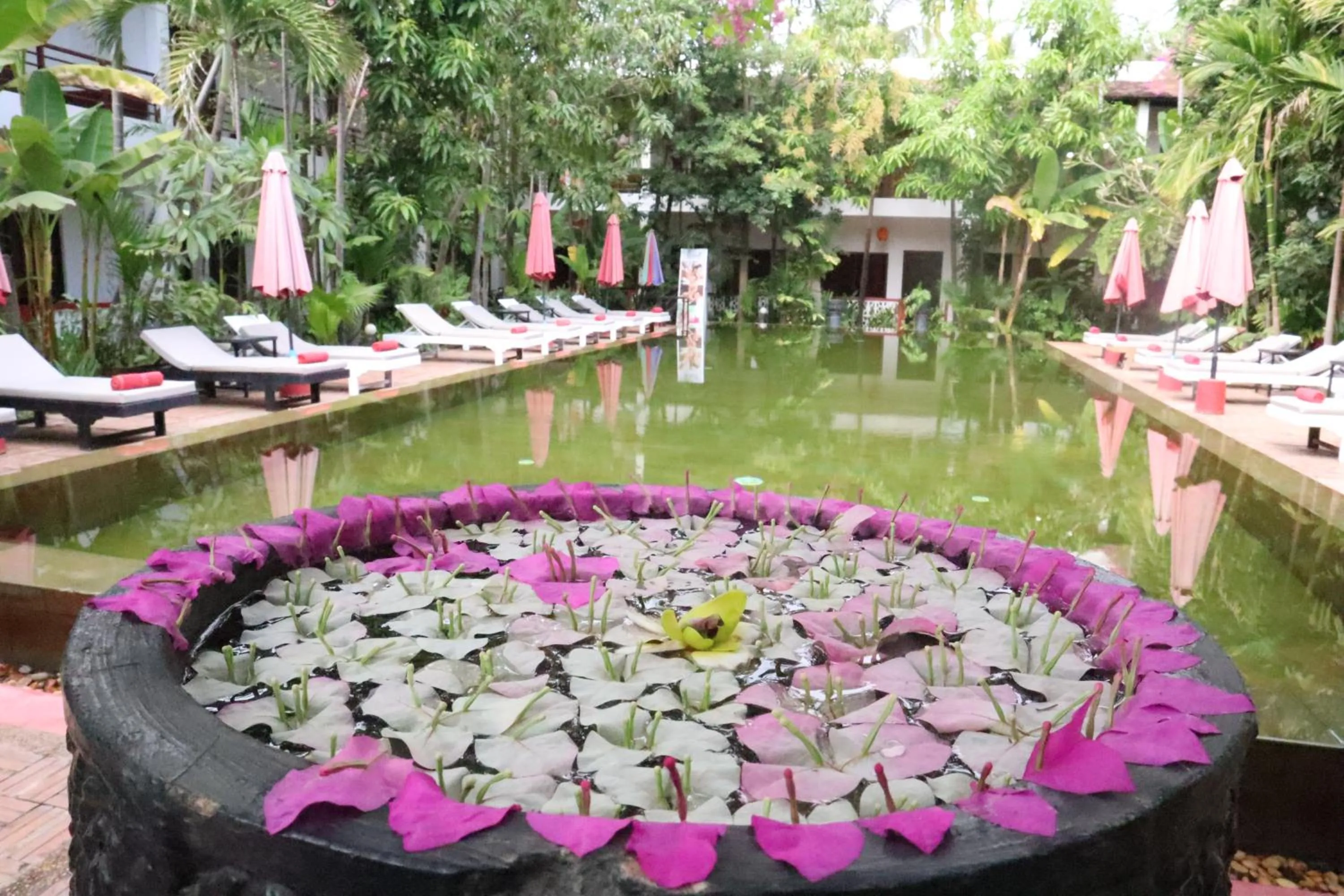 Swimming pool in La Niche D'angkor Boutique Hotel