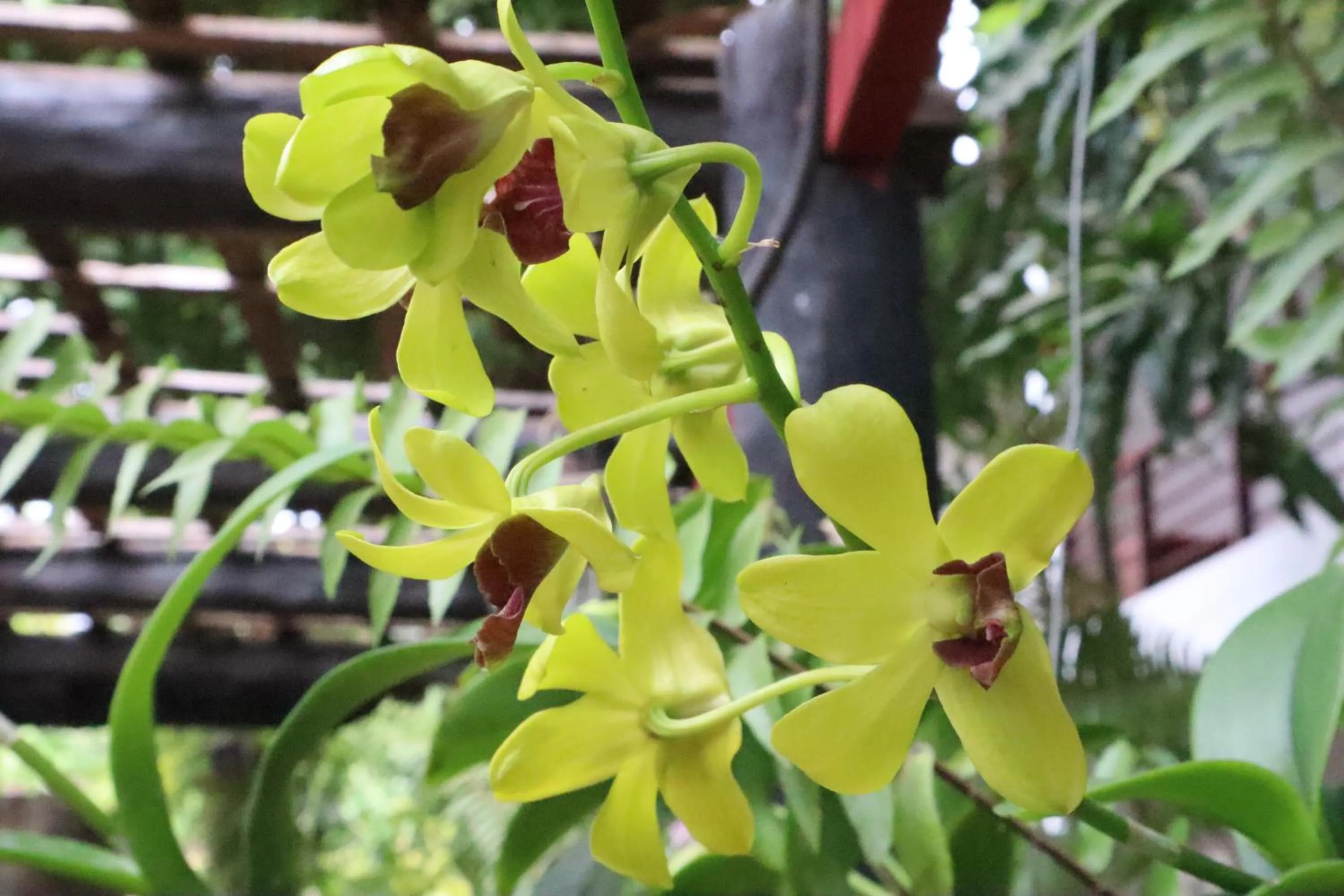 Property building in La Niche D'angkor Boutique Hotel