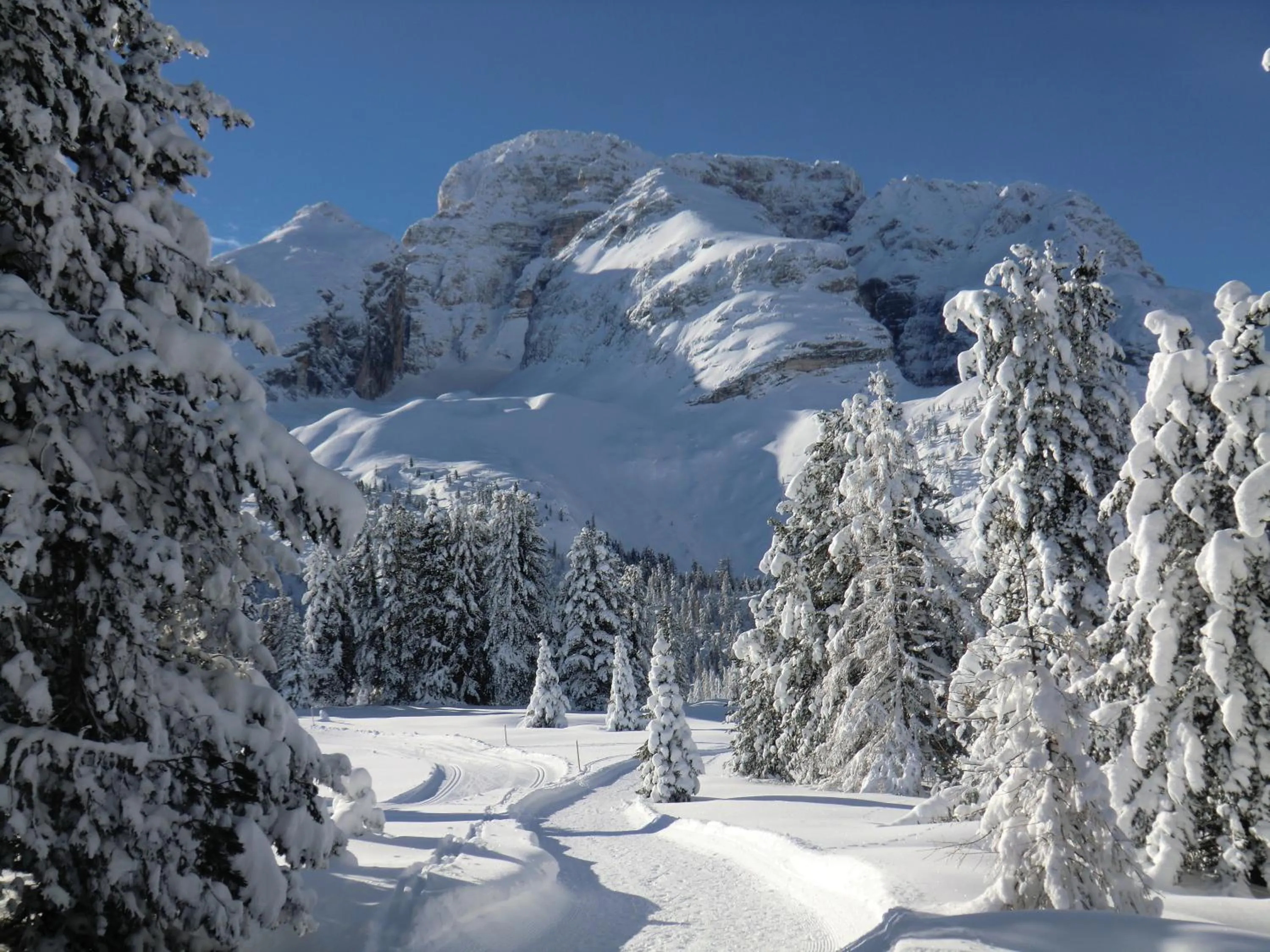 Natural landscape in Hotel Edelweiss