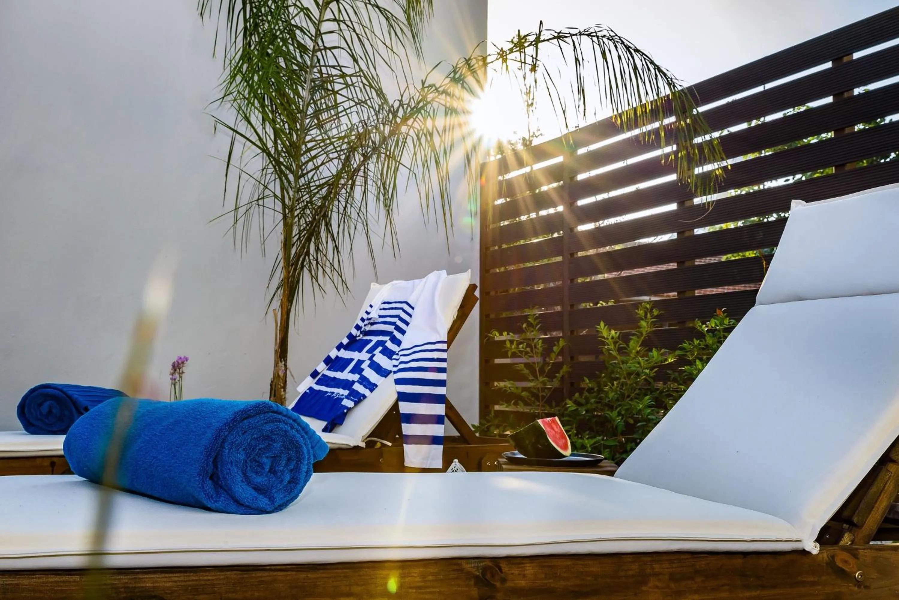 Day in Solar Apartments by Amara Living