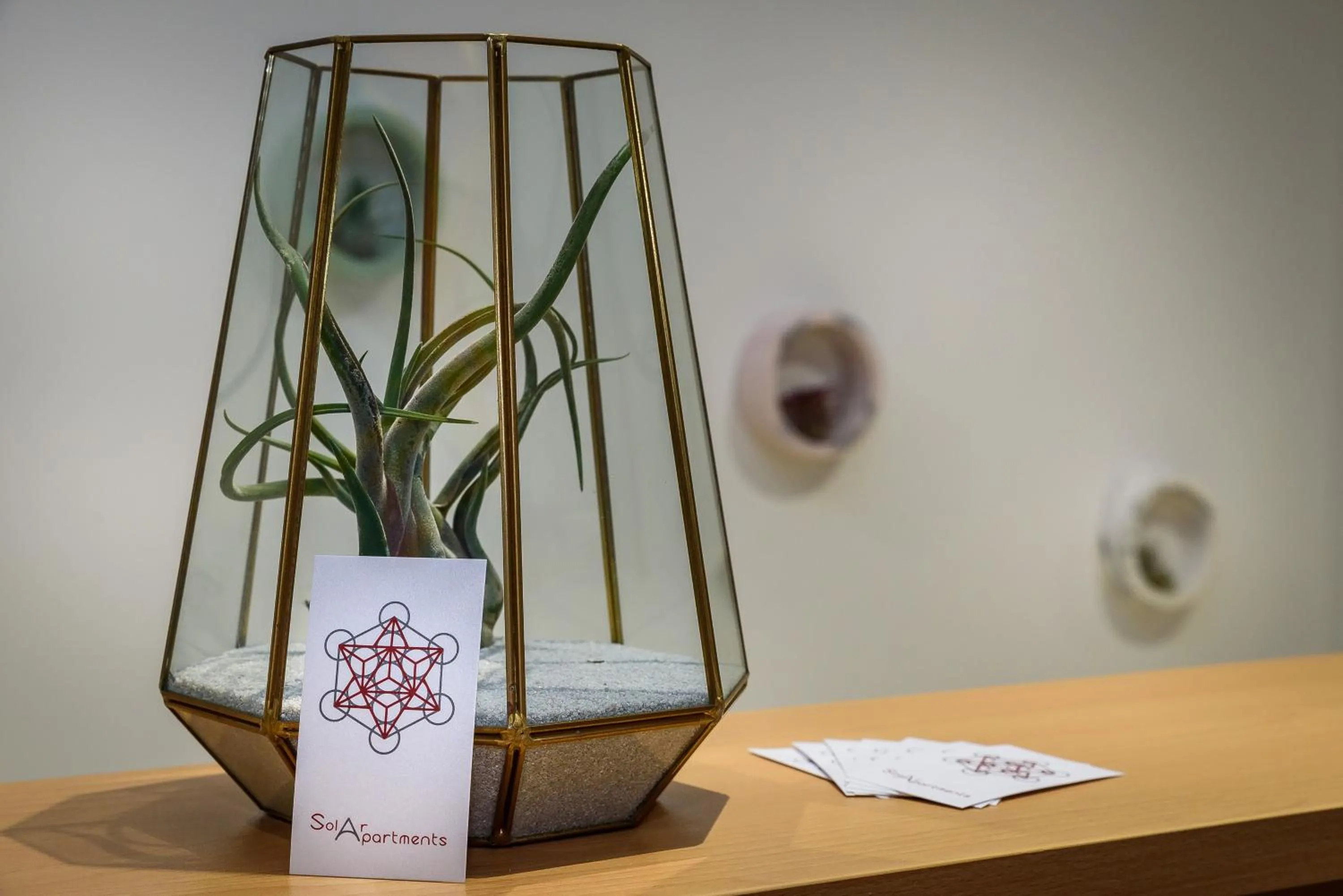 Decorative detail in Solar Apartments by Amara Living