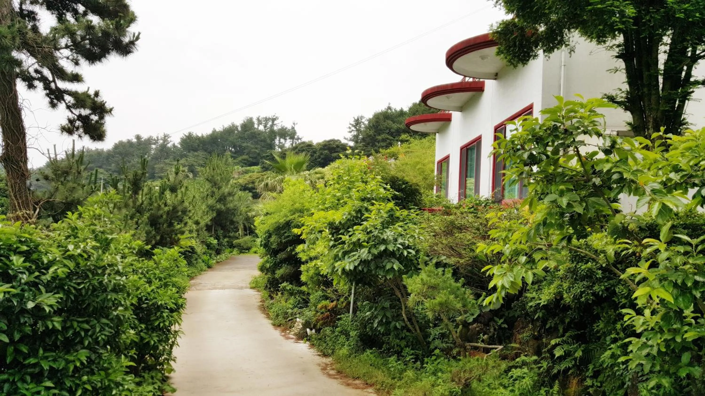 Neighbourhood in Dreaming Forest Pension Seogwipo