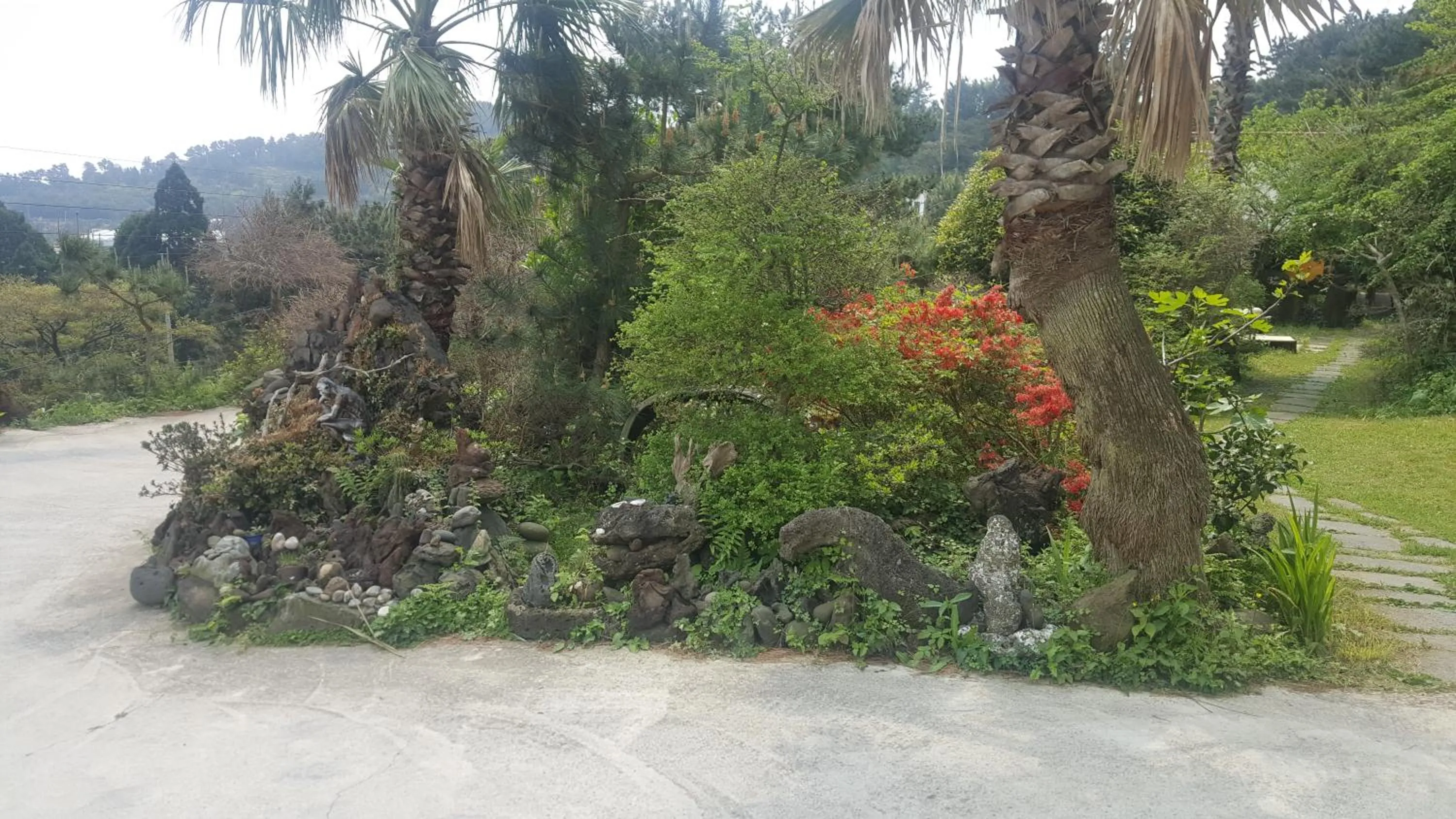 Neighbourhood in Dreaming Forest Pension Seogwipo