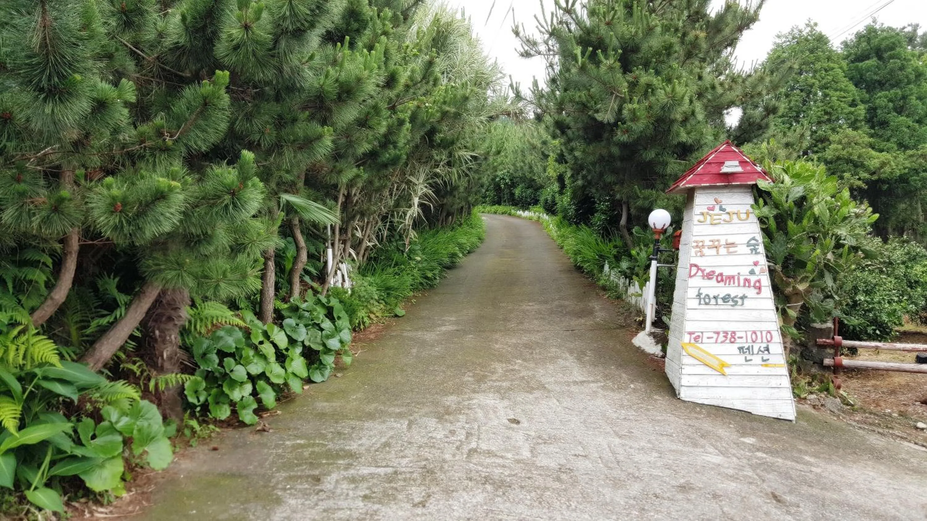 Neighbourhood in Dreaming Forest Pension Seogwipo