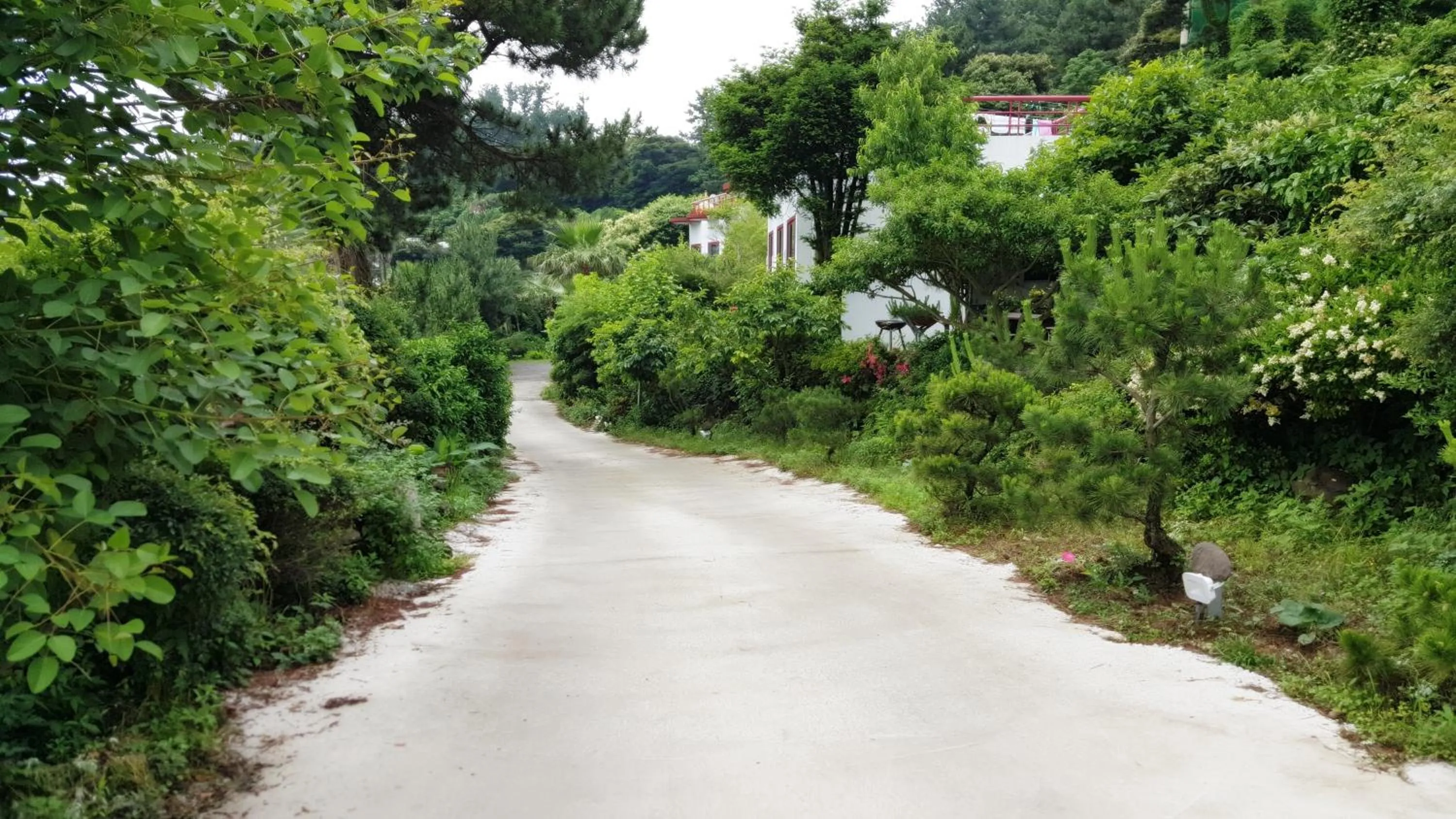 Facade/entrance in Dreaming Forest Pension Seogwipo