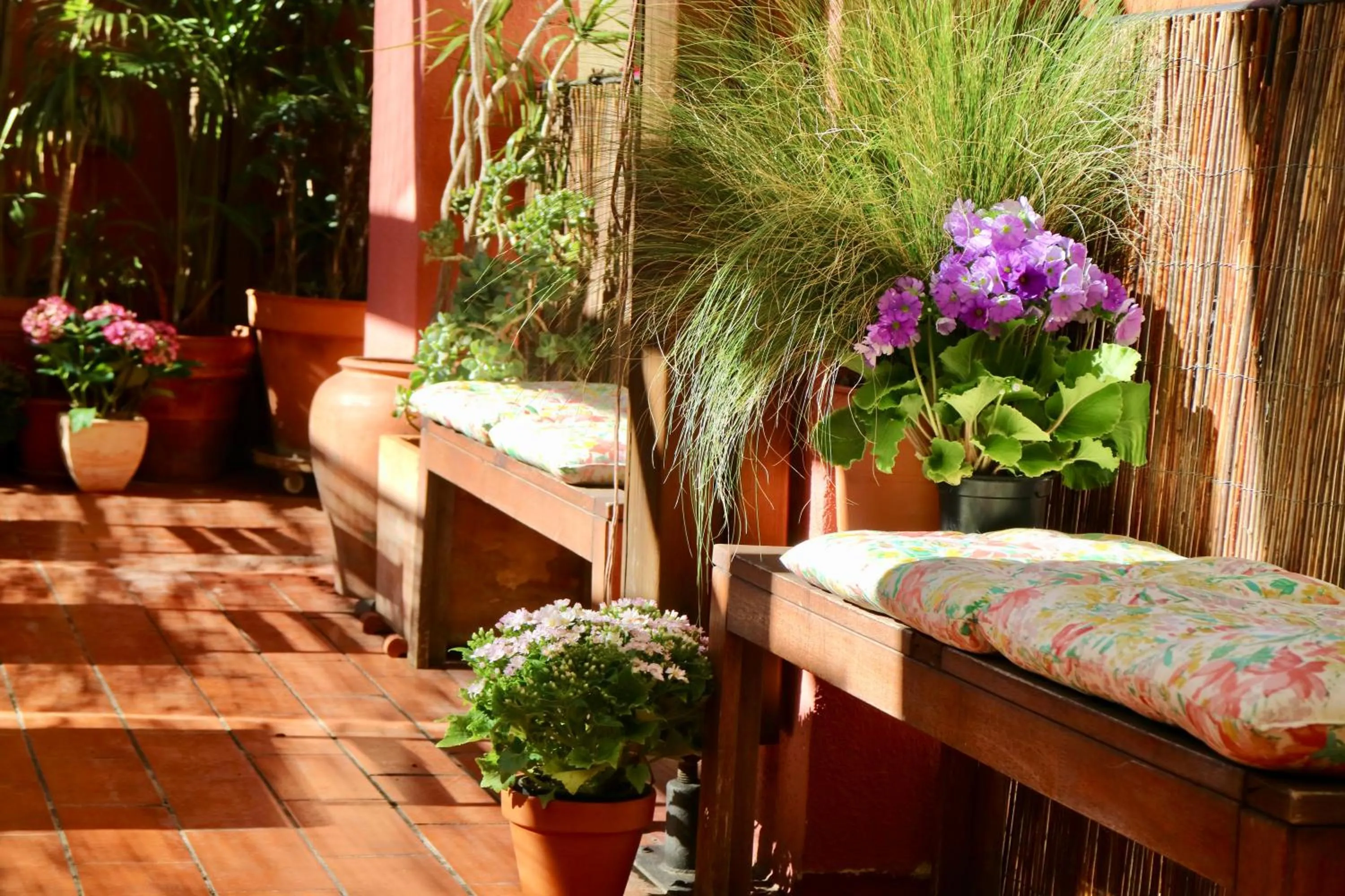 Patio in Hostal Poblenou