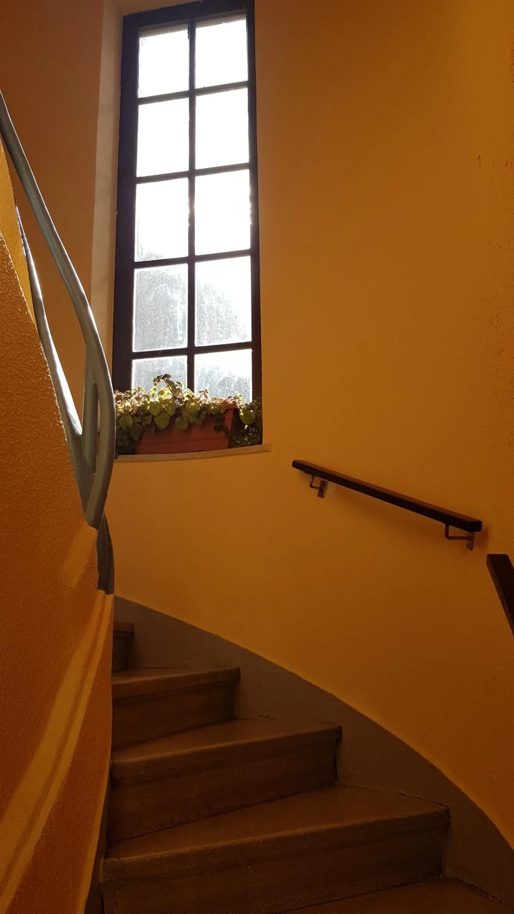 Facade/entrance in Pension Salamanca