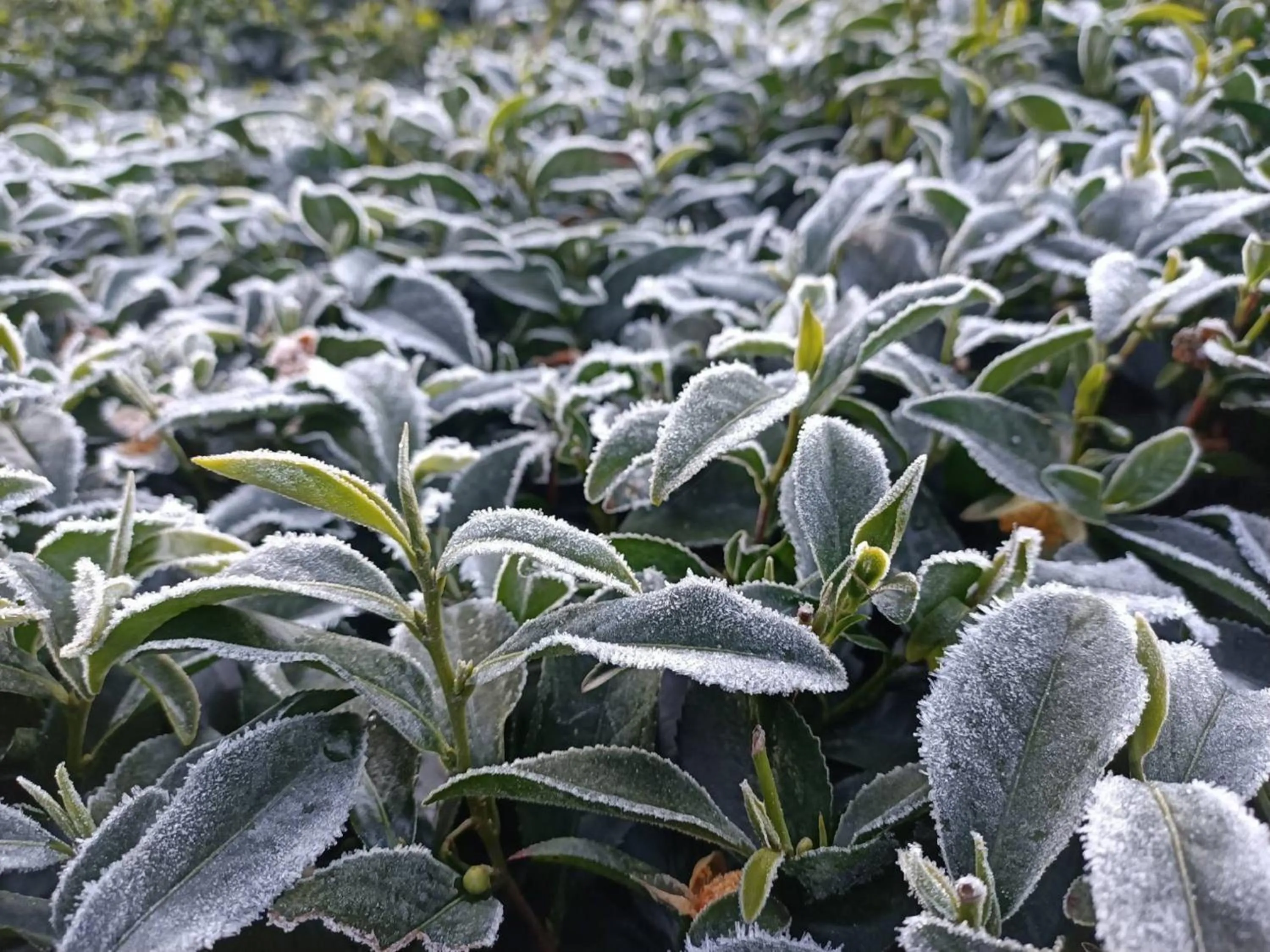 Other in Sun Moon Tea B&B