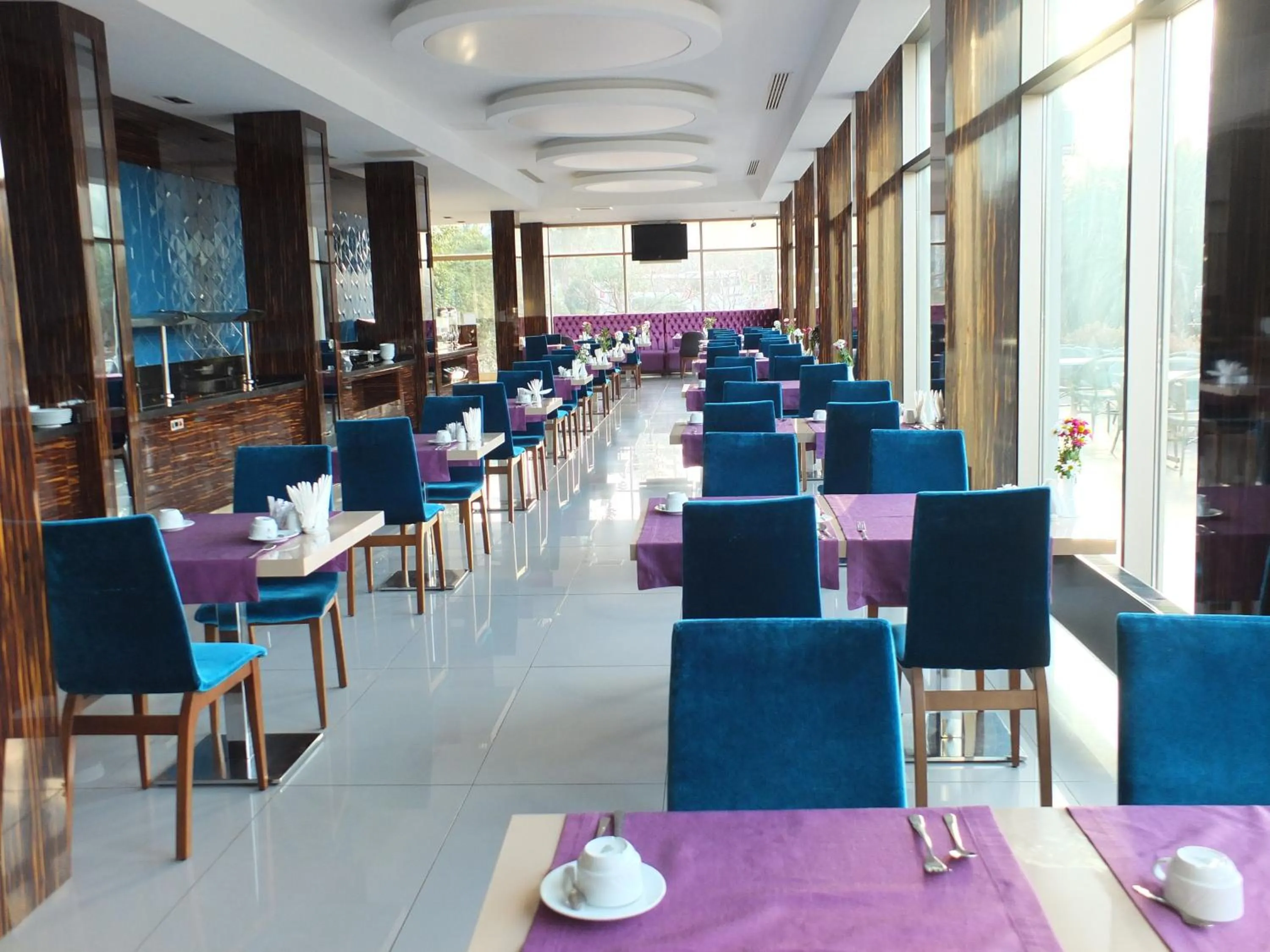 Restaurant/places to eat in Buyuk Saruhan Hotel