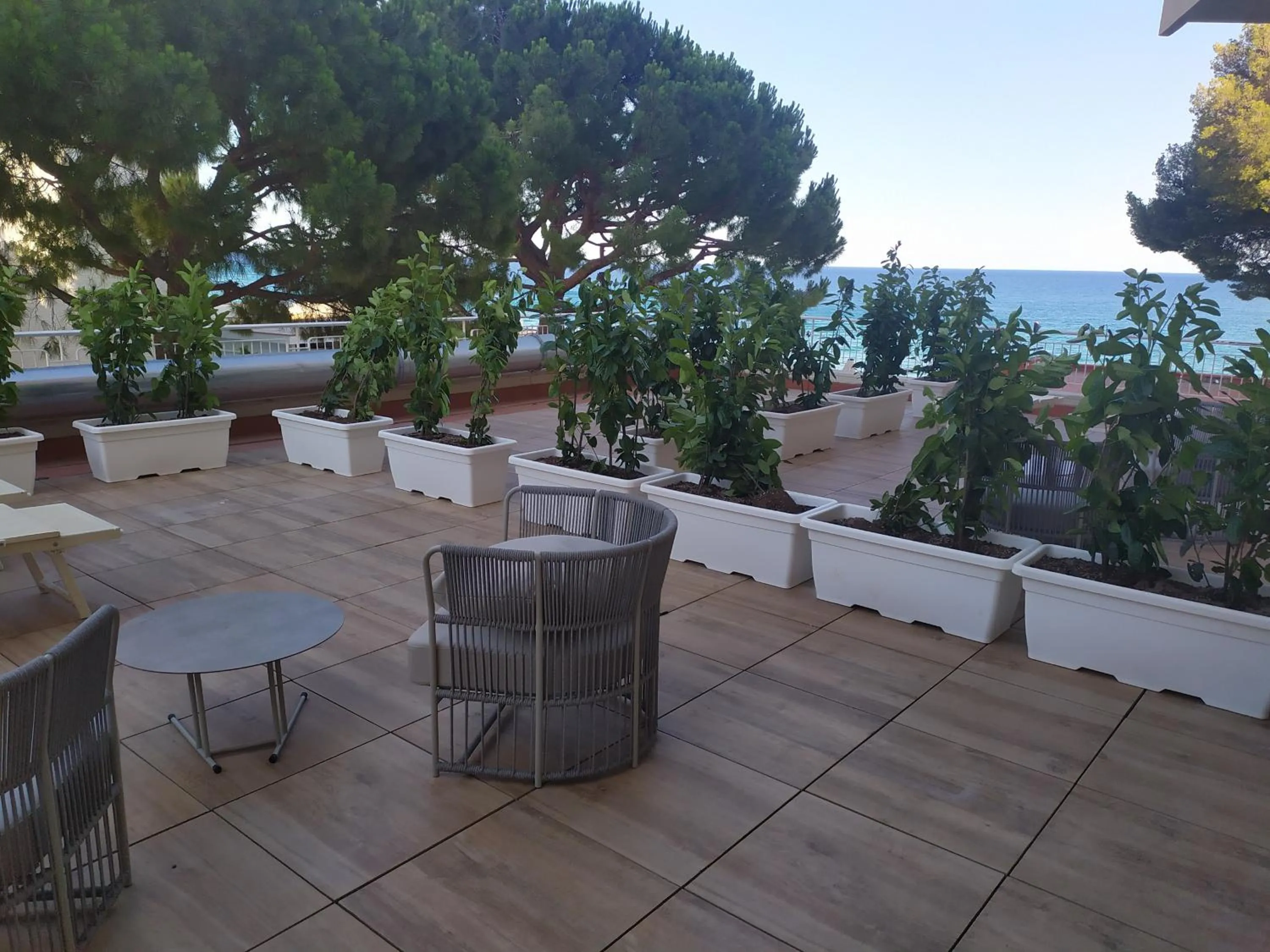 View (from property/room) in Diana Grand Hotel