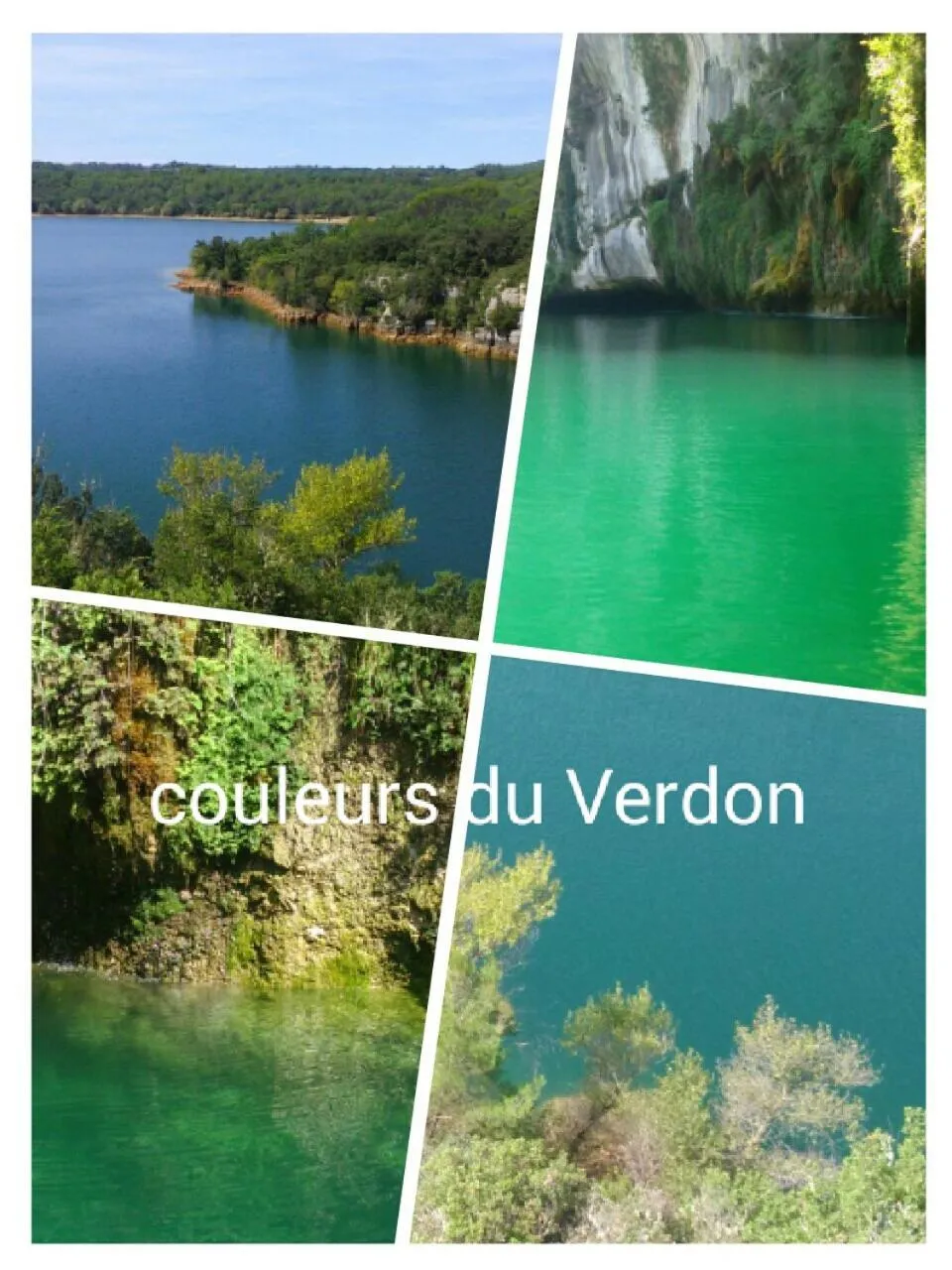 Bio verdon