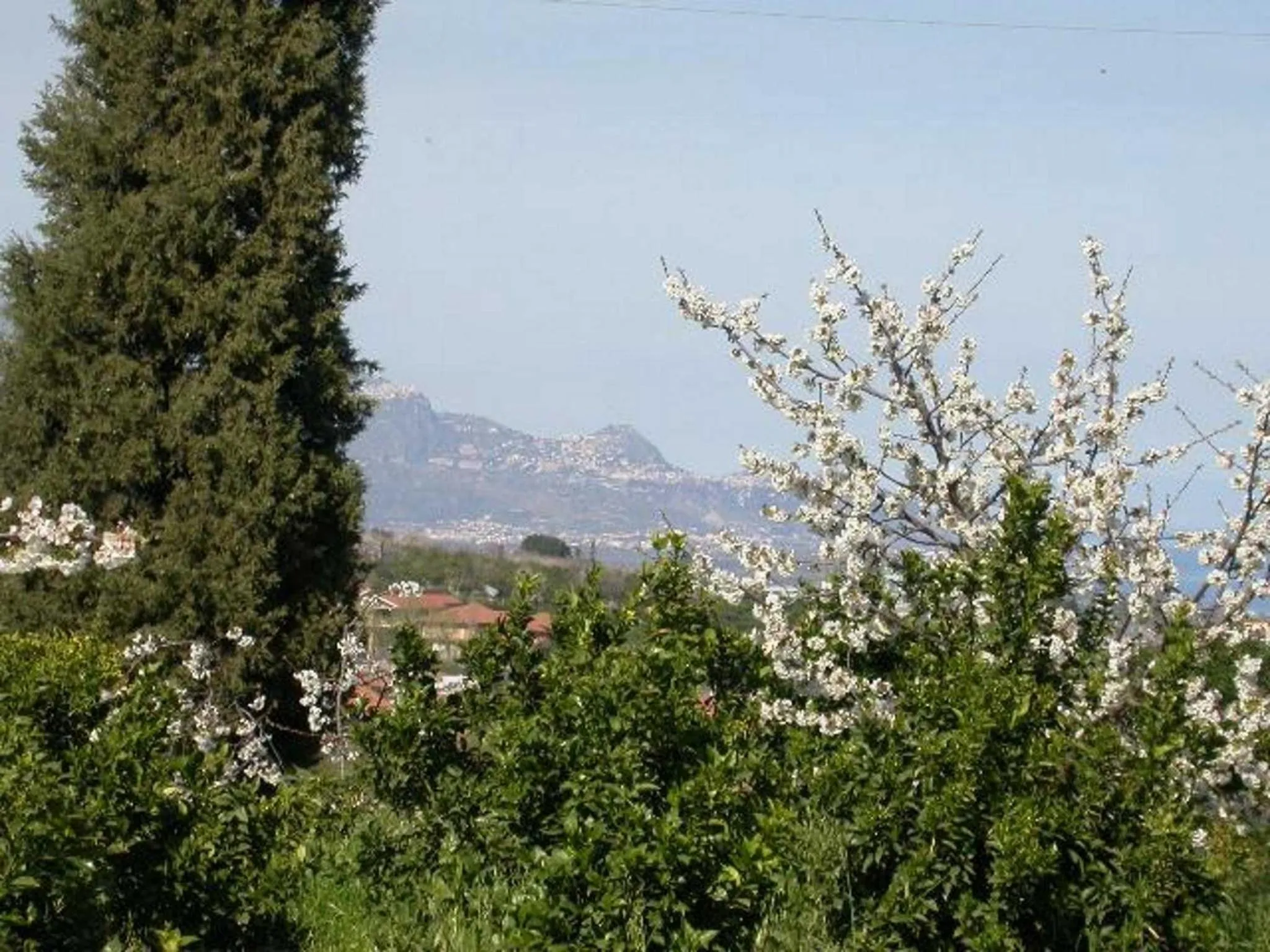 Facade/entrance in Baglio Delle Rose