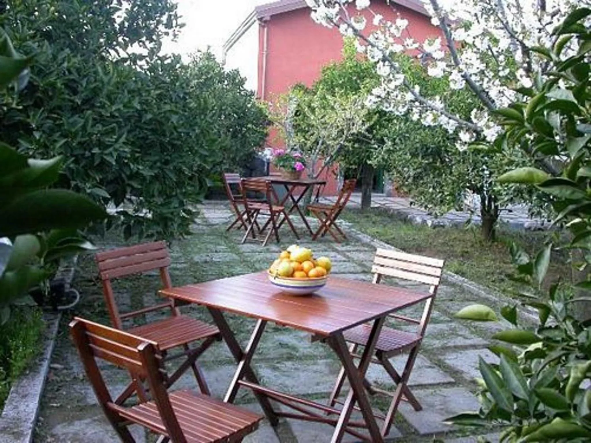 Garden in Baglio Delle Rose