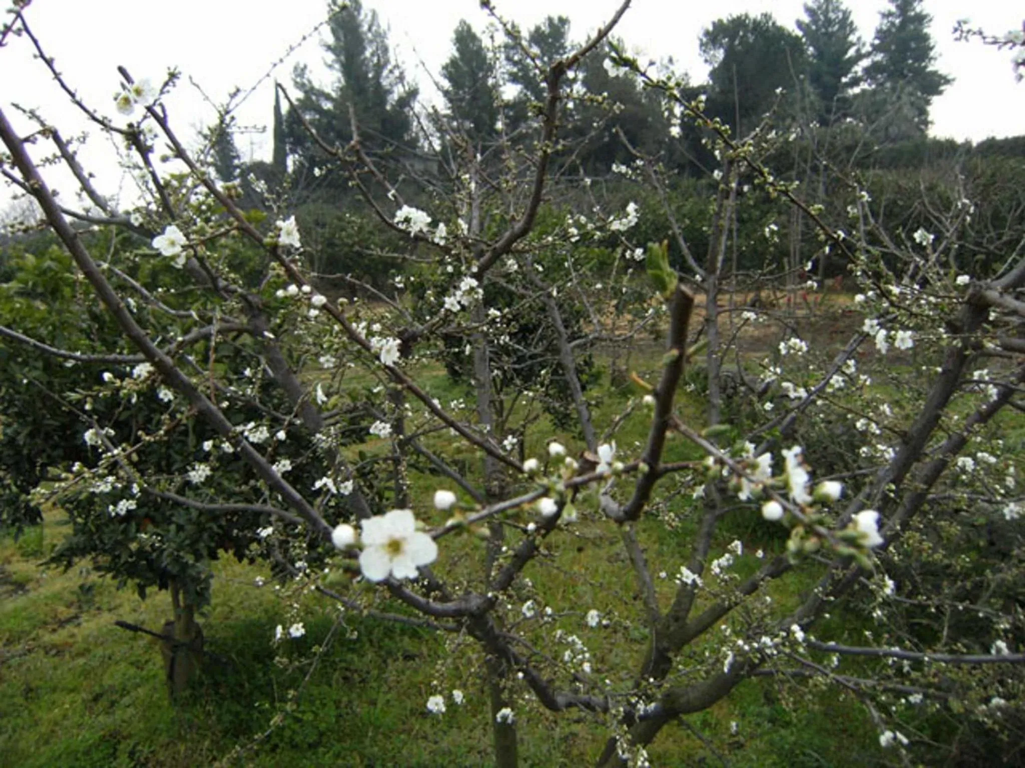 Facade/entrance in Baglio Delle Rose
