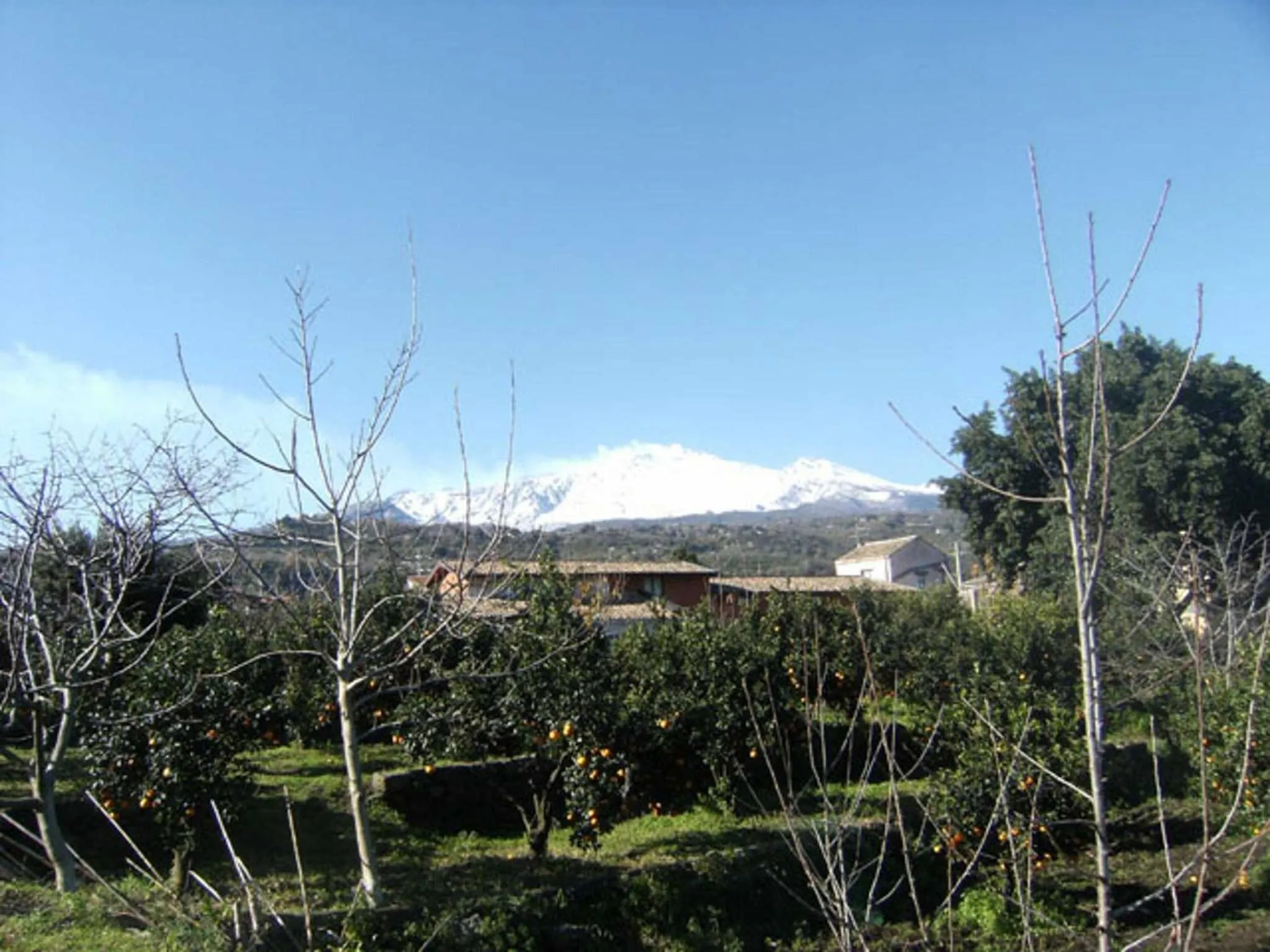 View (from property/room) in Baglio Delle Rose