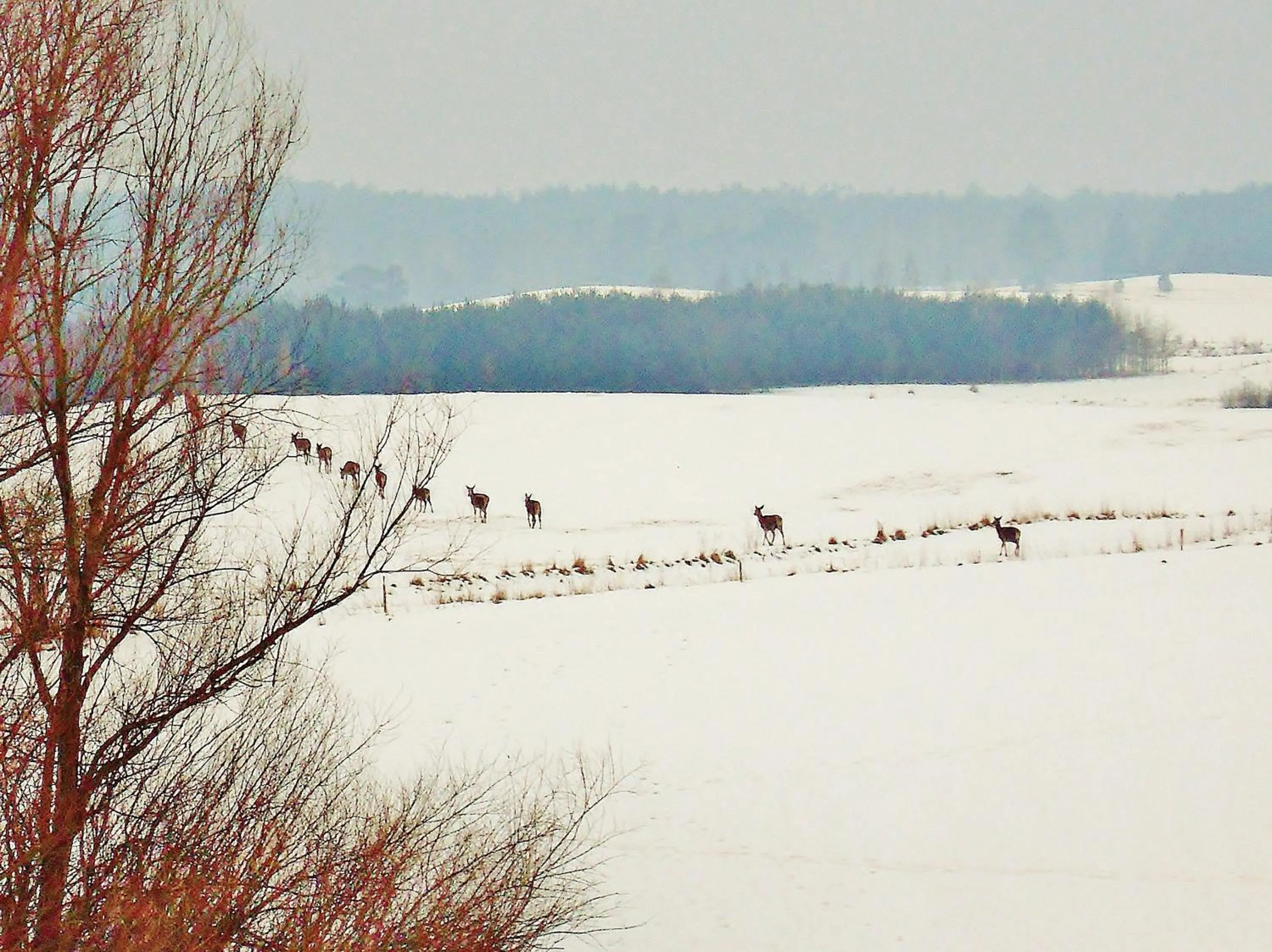 Area and facilities in Mazurska Chata jezioro i aquapark 6 min, centrum i promenada 12 min