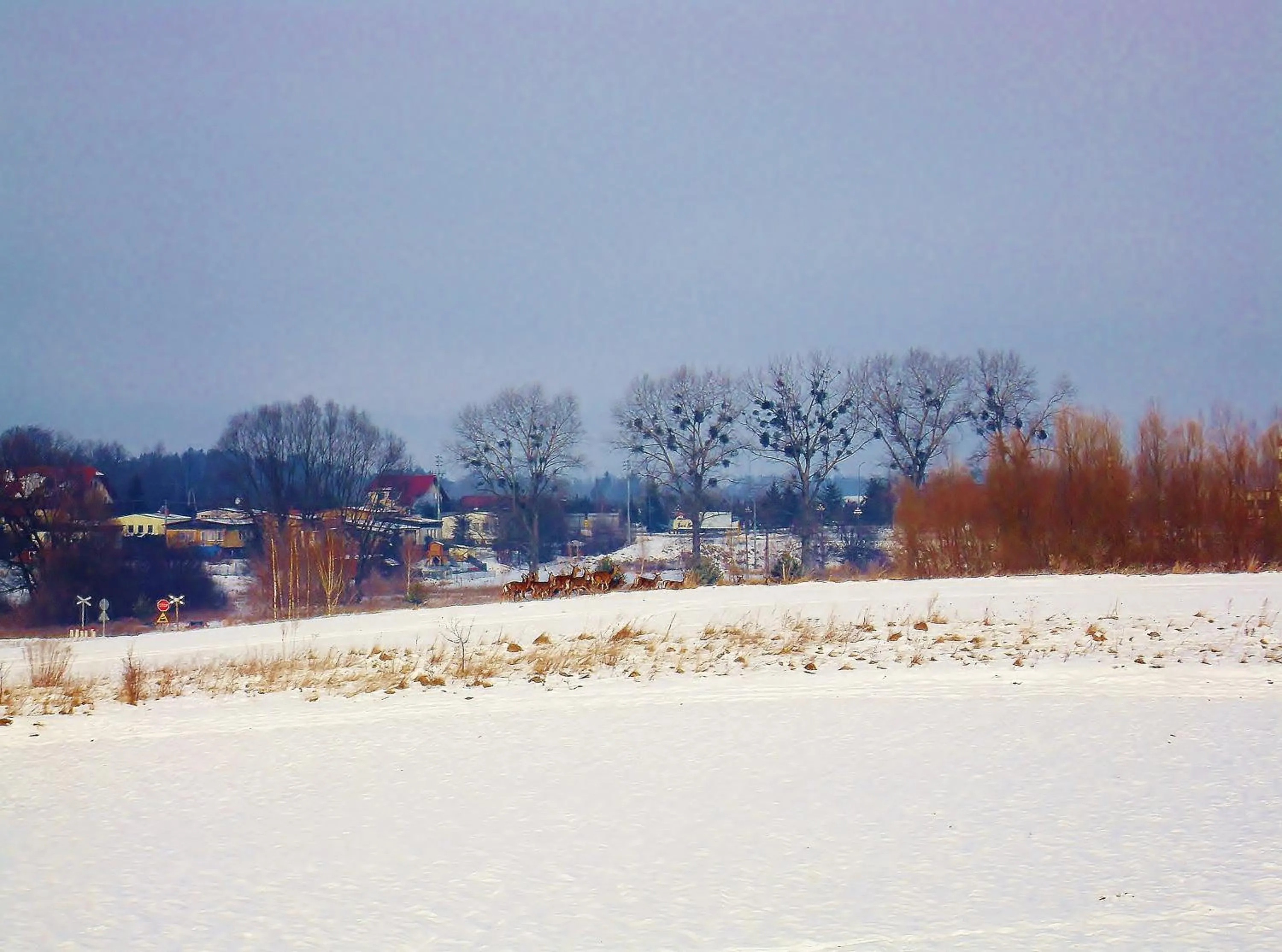 Natural landscape in Mazurska Chata jezioro i aquapark 6 min, centrum i promenada 12 min