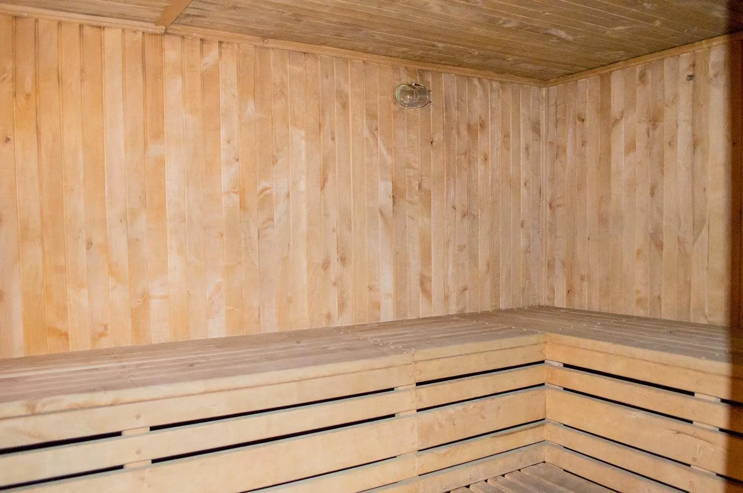 Sauna in Hotel Rodina