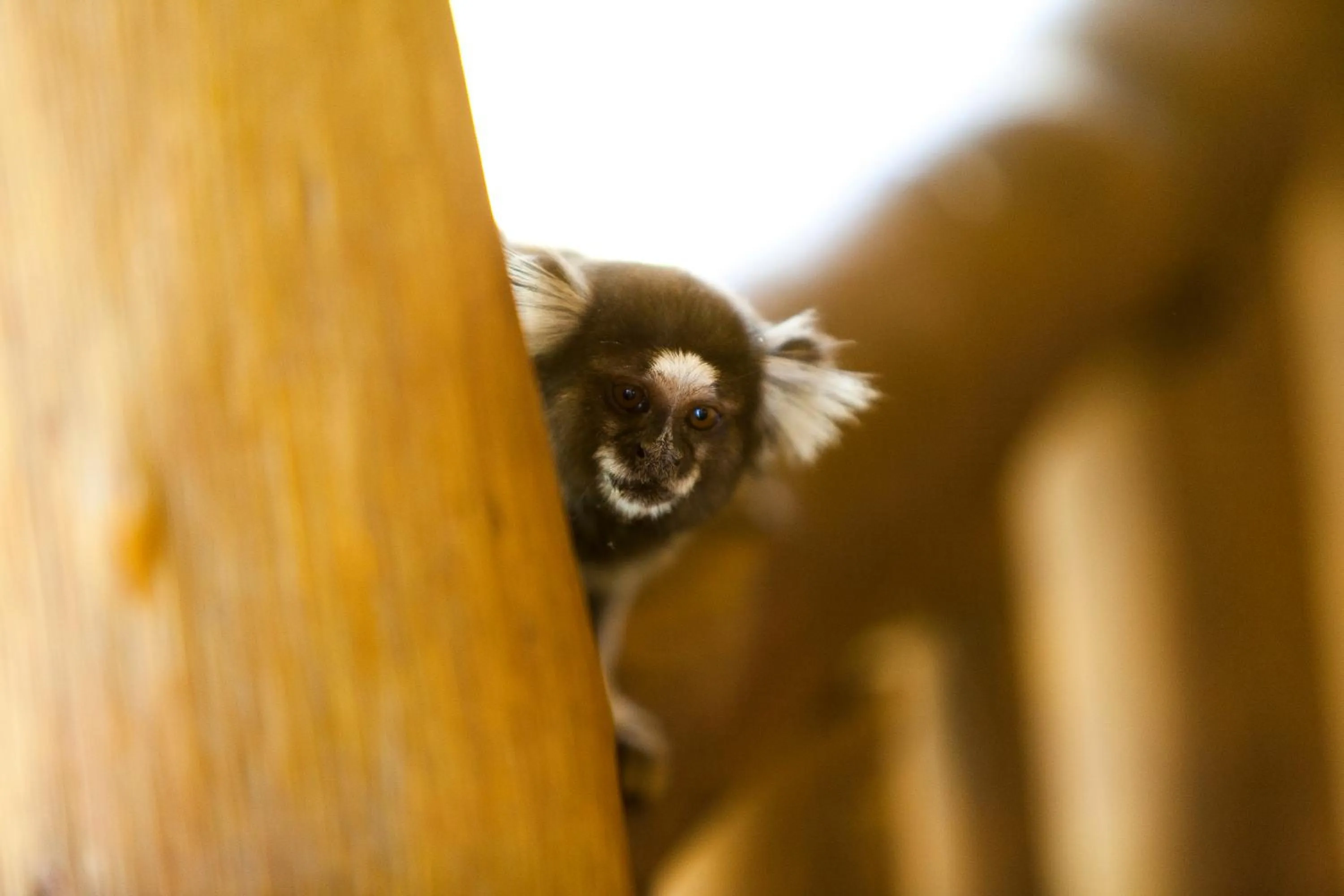 Other in Pousada Praia das Ondas - Pé na areia