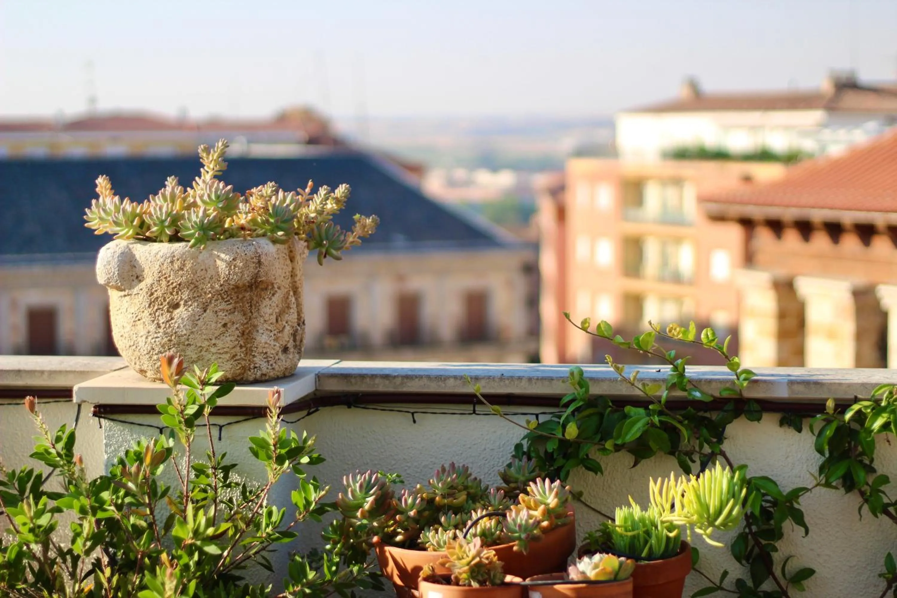 City view in El Mirador de Zamora