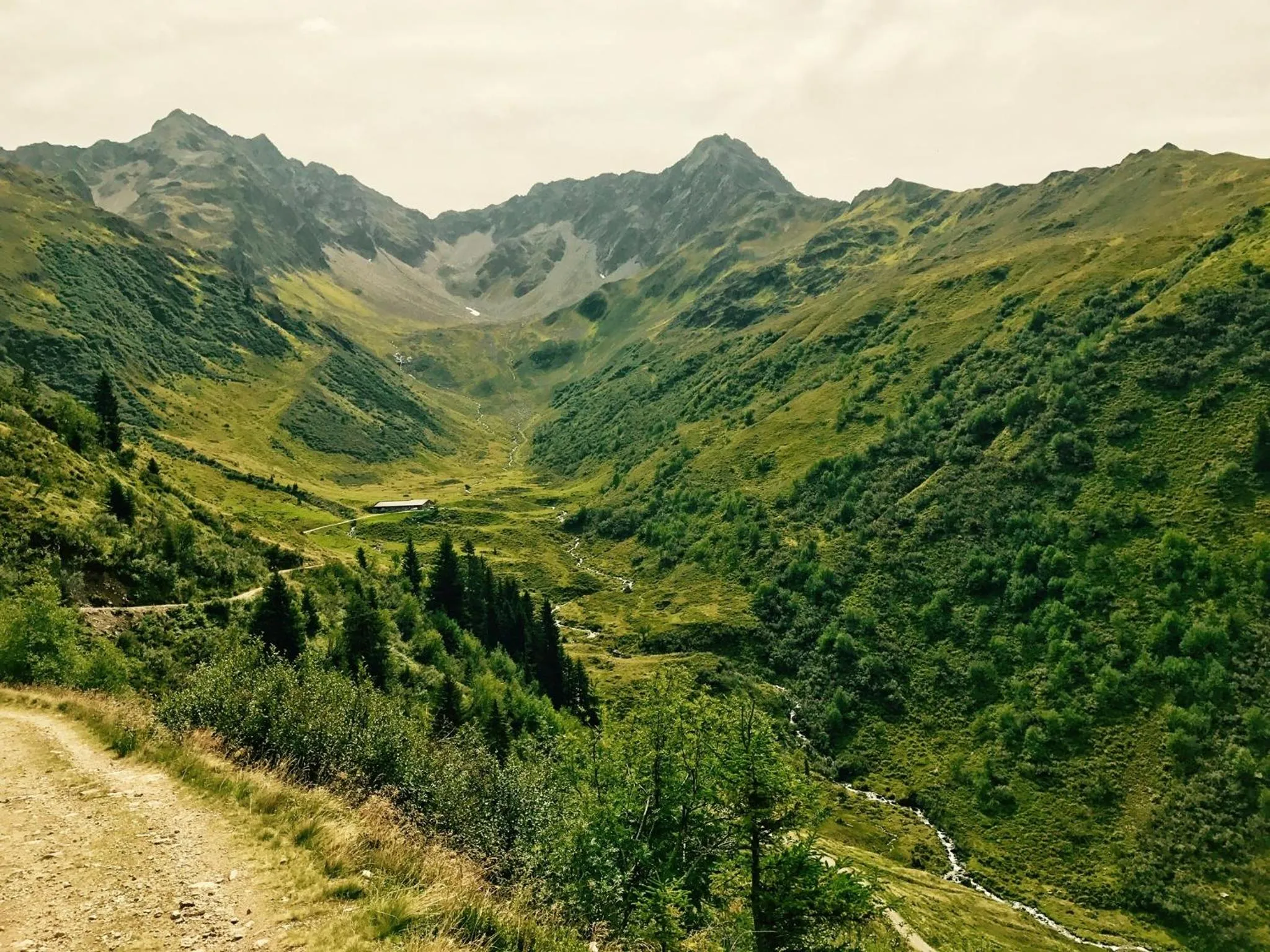 Natural landscape in Das Johann