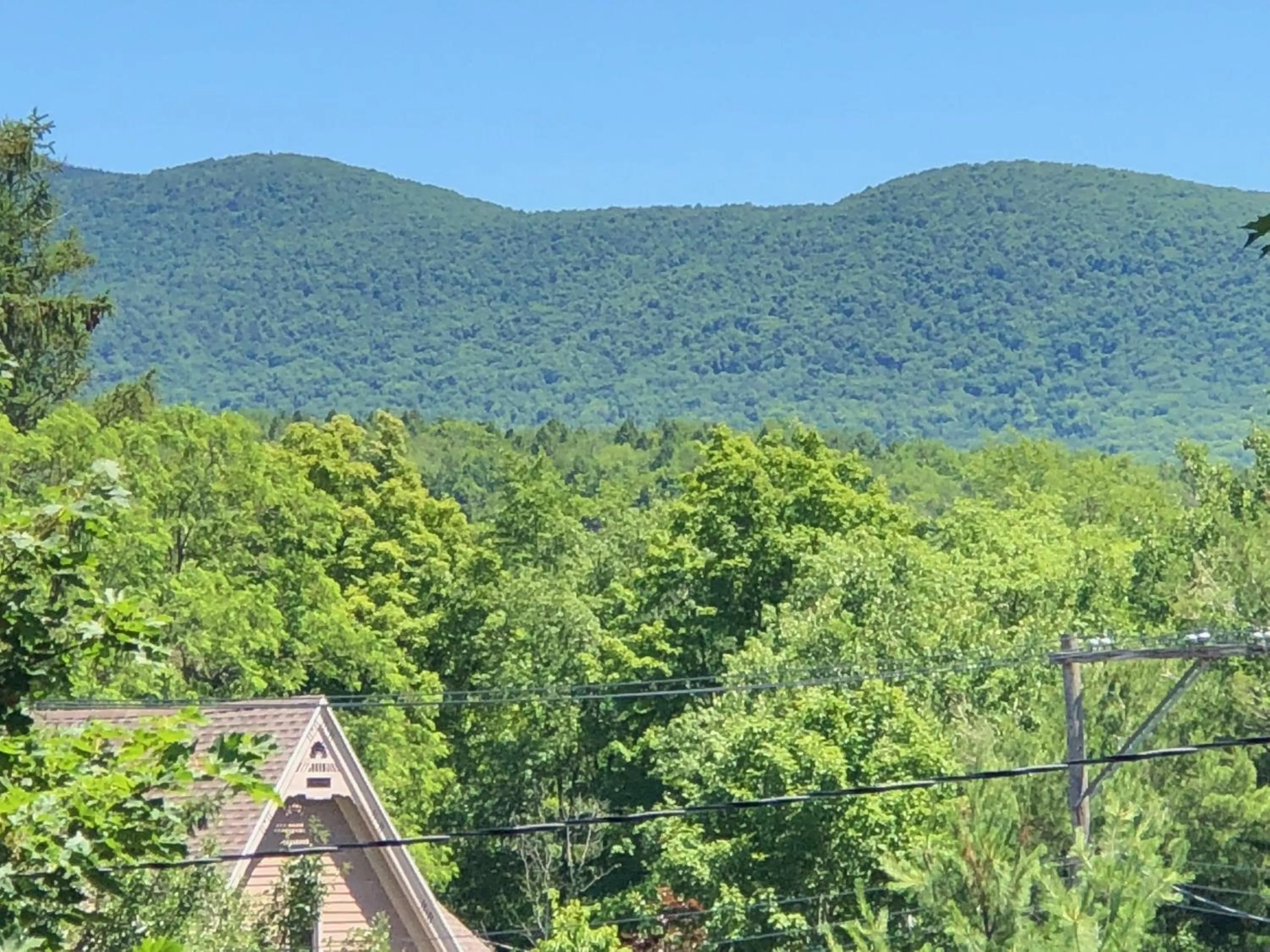 Natural landscape in Antique Rose Inn Windham