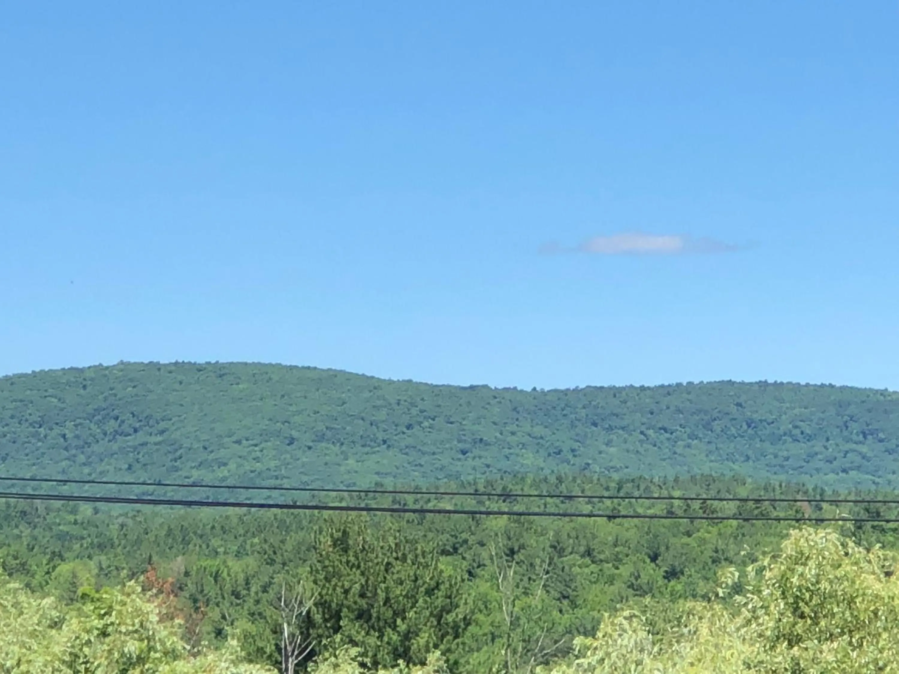Natural landscape in Antique Rose Inn Windham