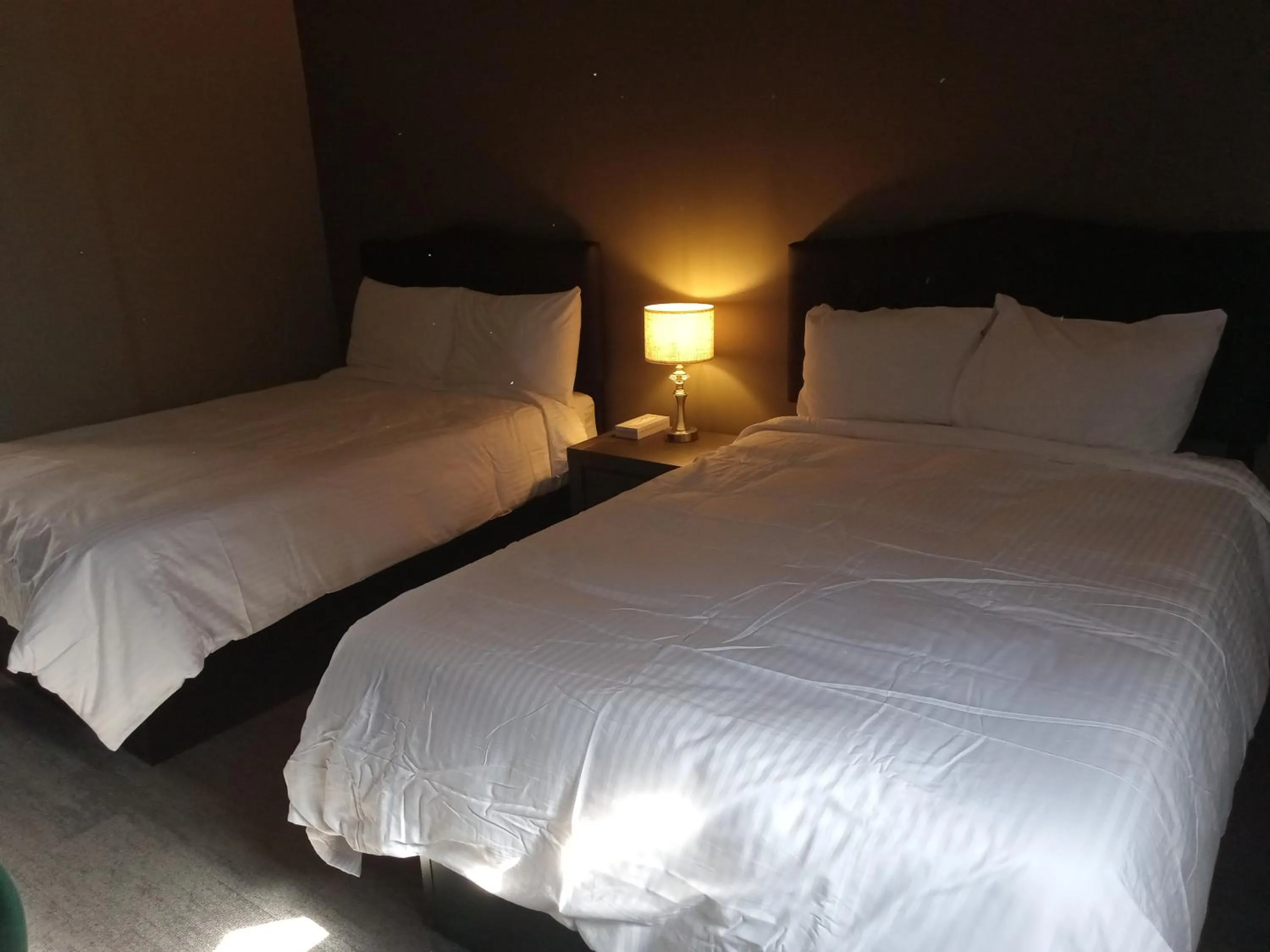 Bed in Park Lane Motor Hotel Medicine Hat