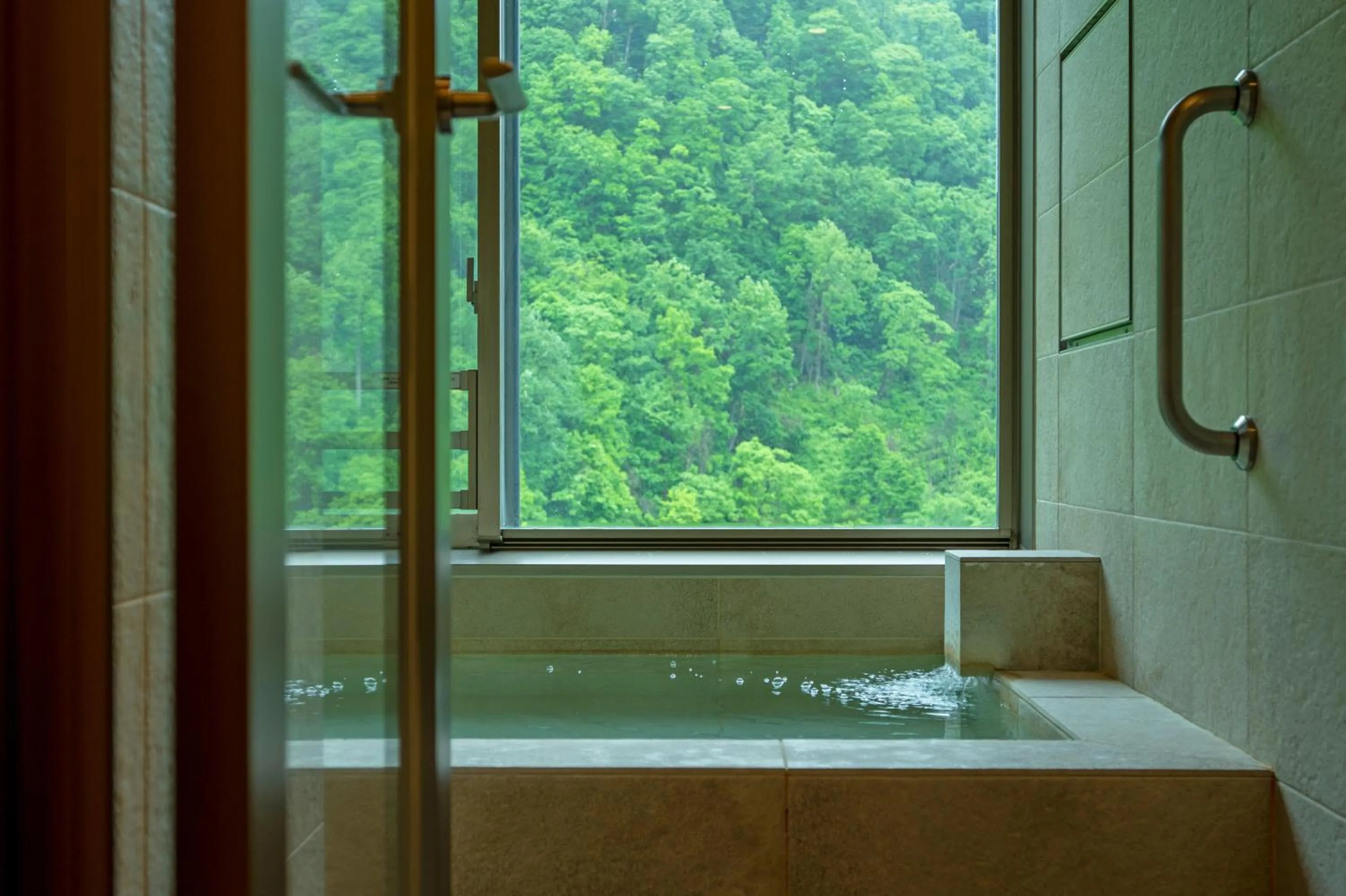 Natural landscape in Grand Blissen Hotel Jozankei