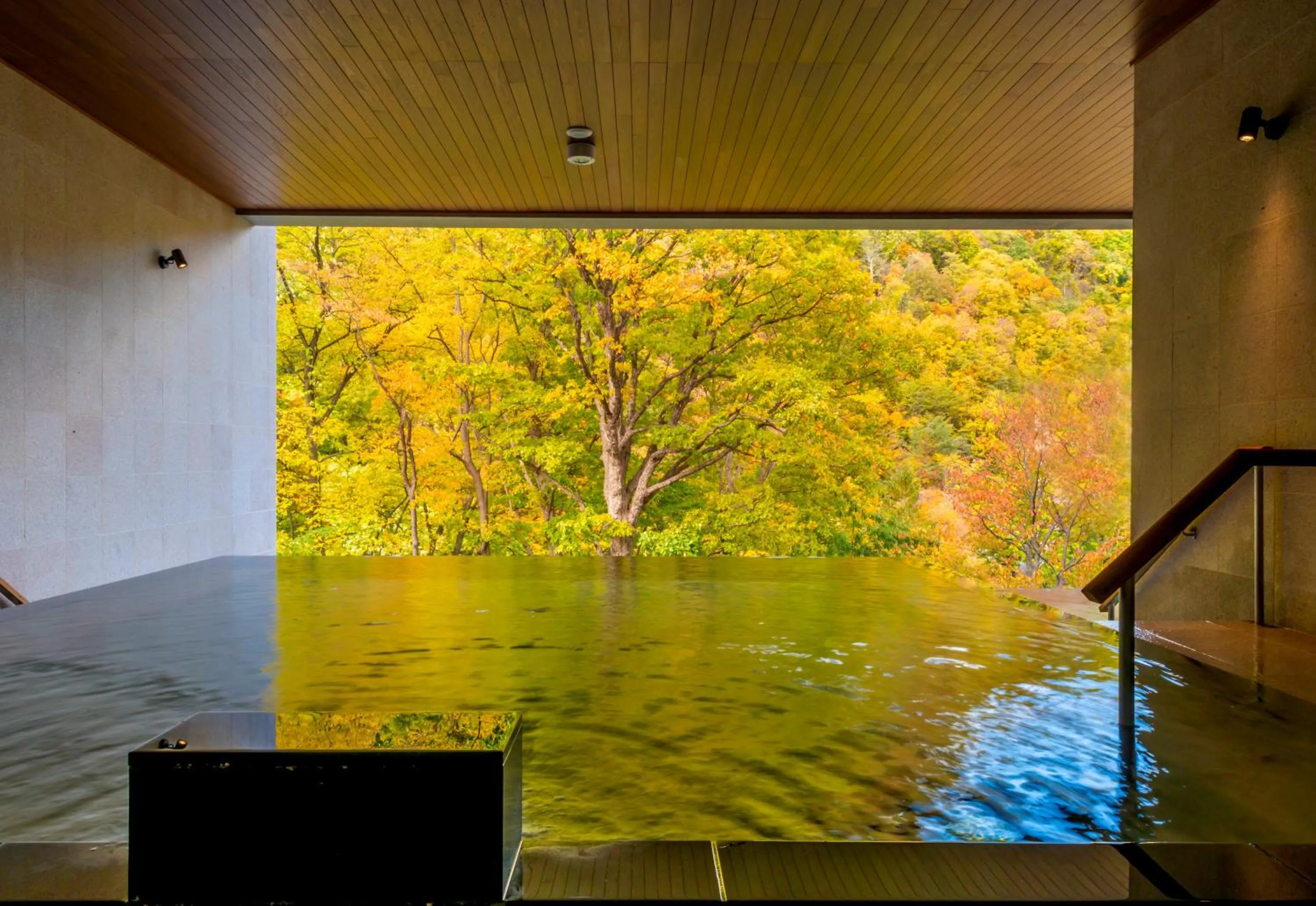 Natural landscape in Grand Blissen Hotel Jozankei