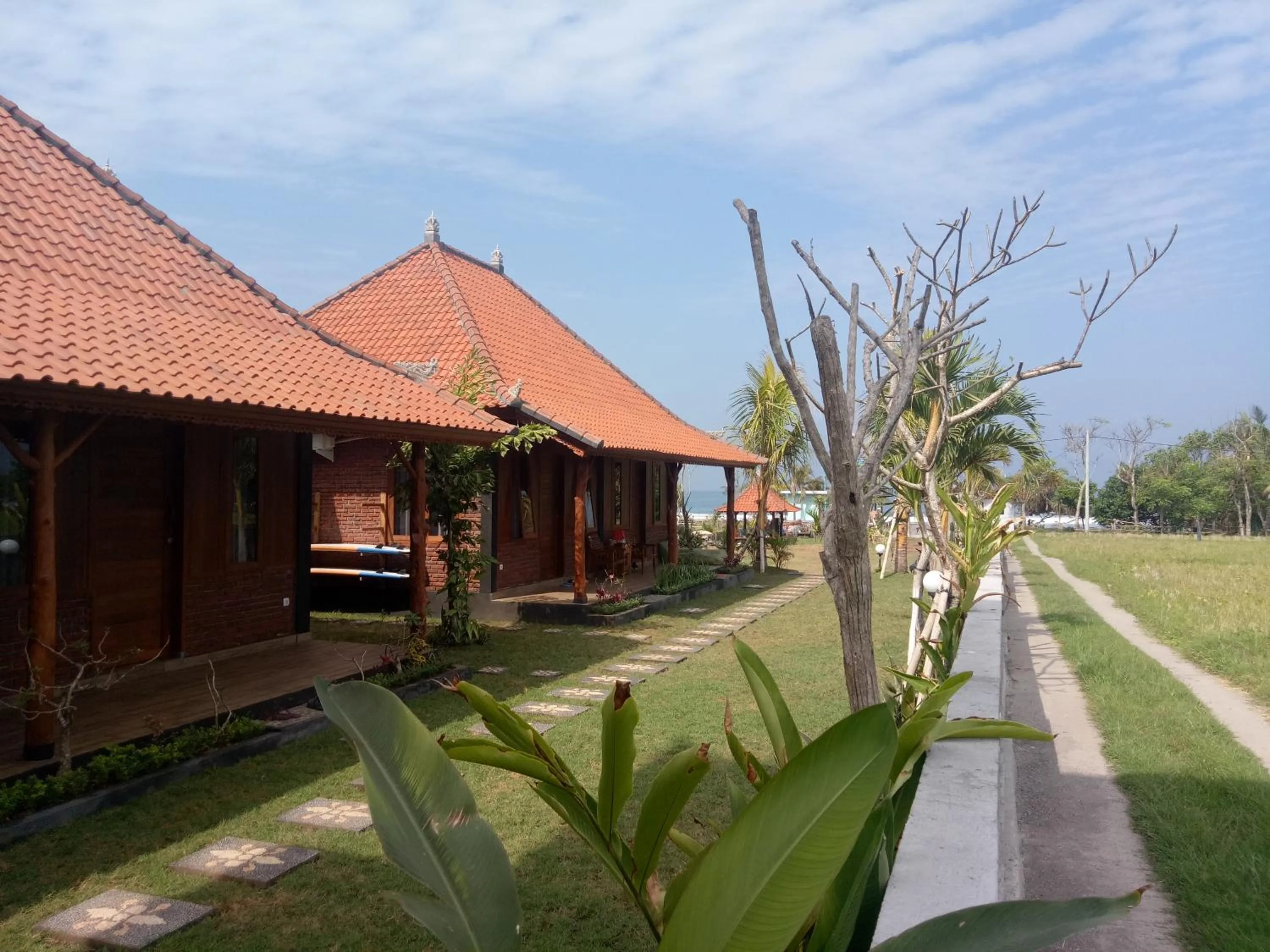 Garden in Emir Surfcamp