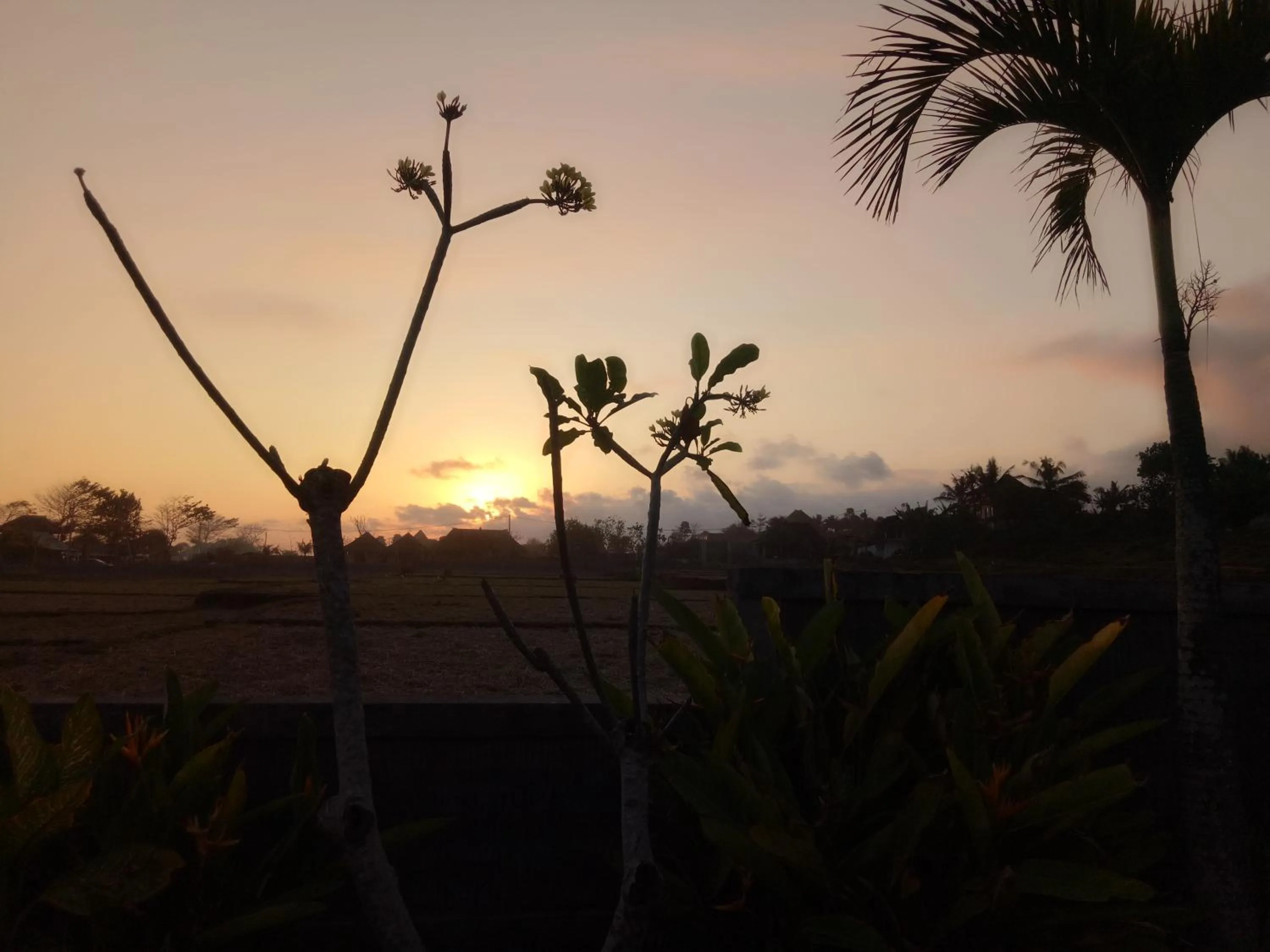 View (from property/room) in Emir Surfcamp