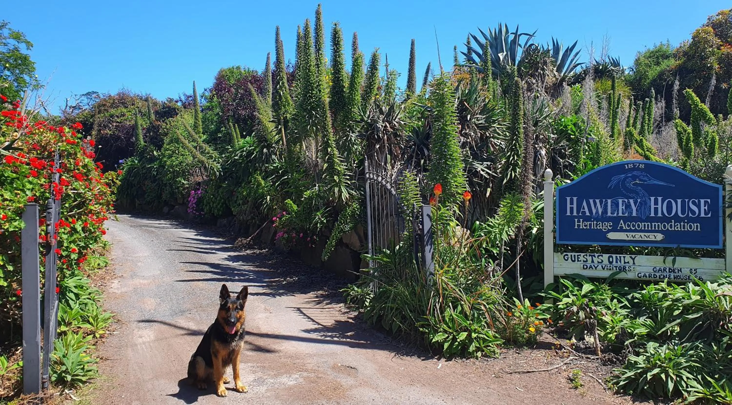 Facade/entrance in Hawley House