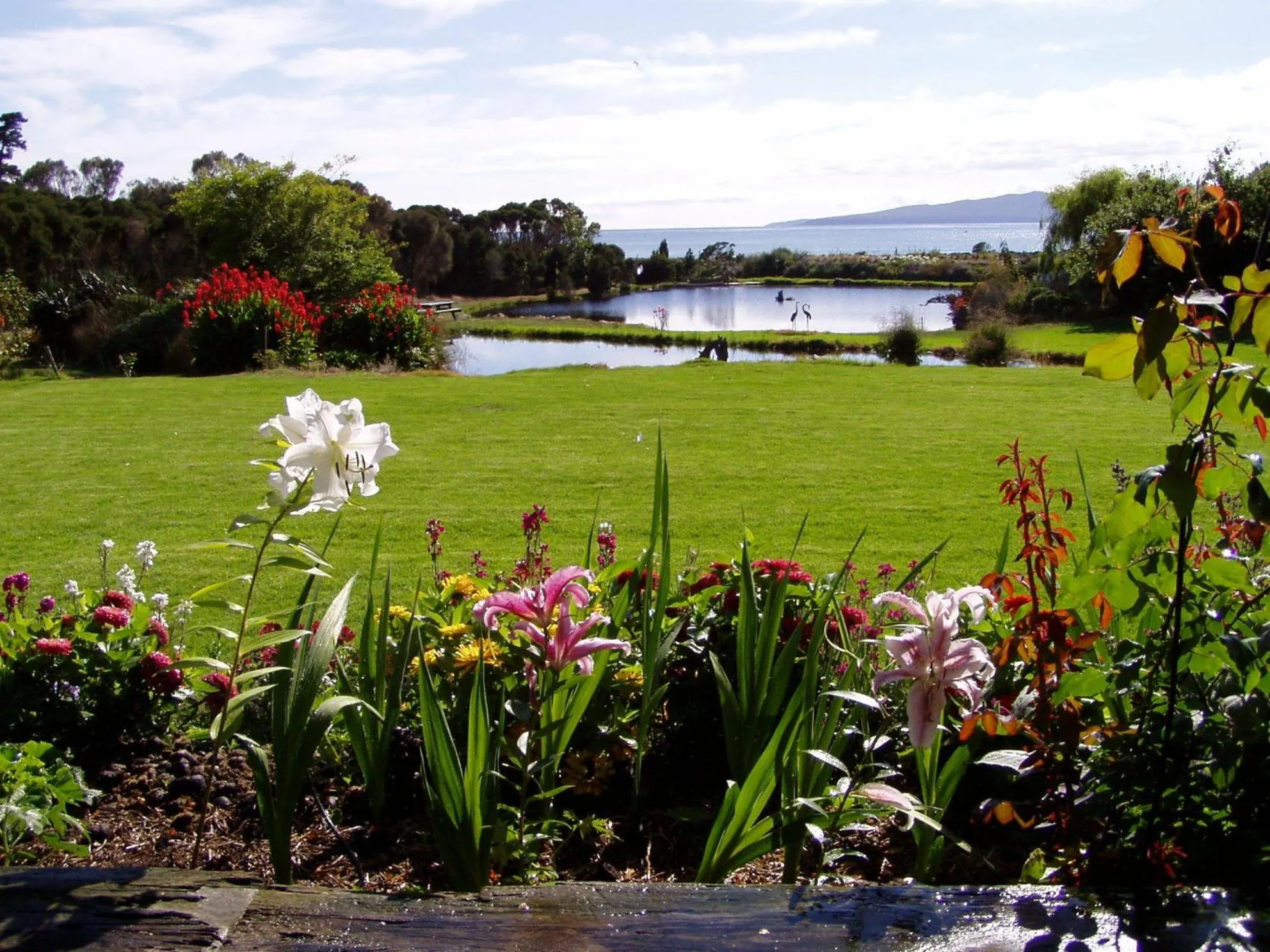View (from property/room) in Hawley House