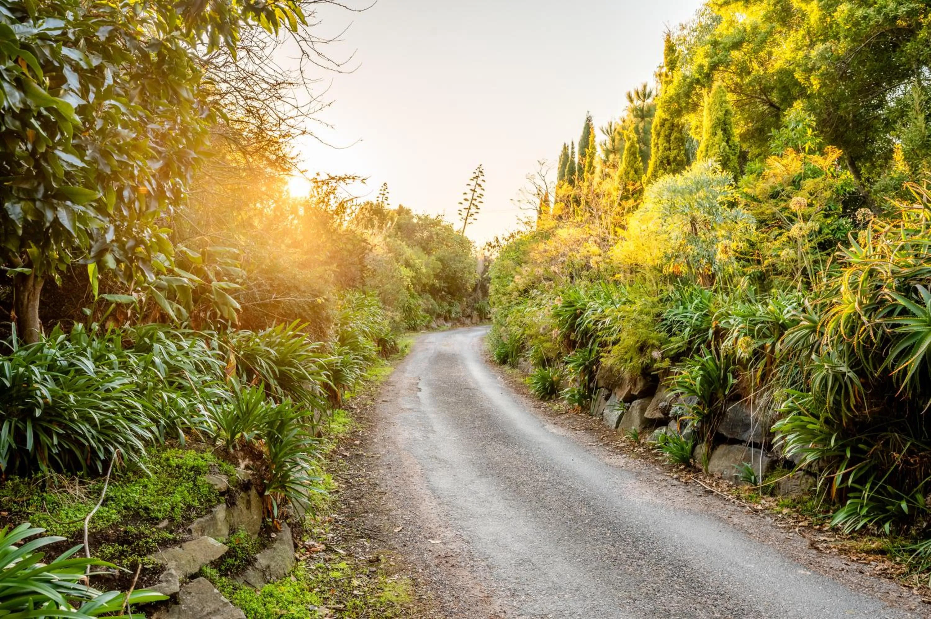 Garden in Hawley House