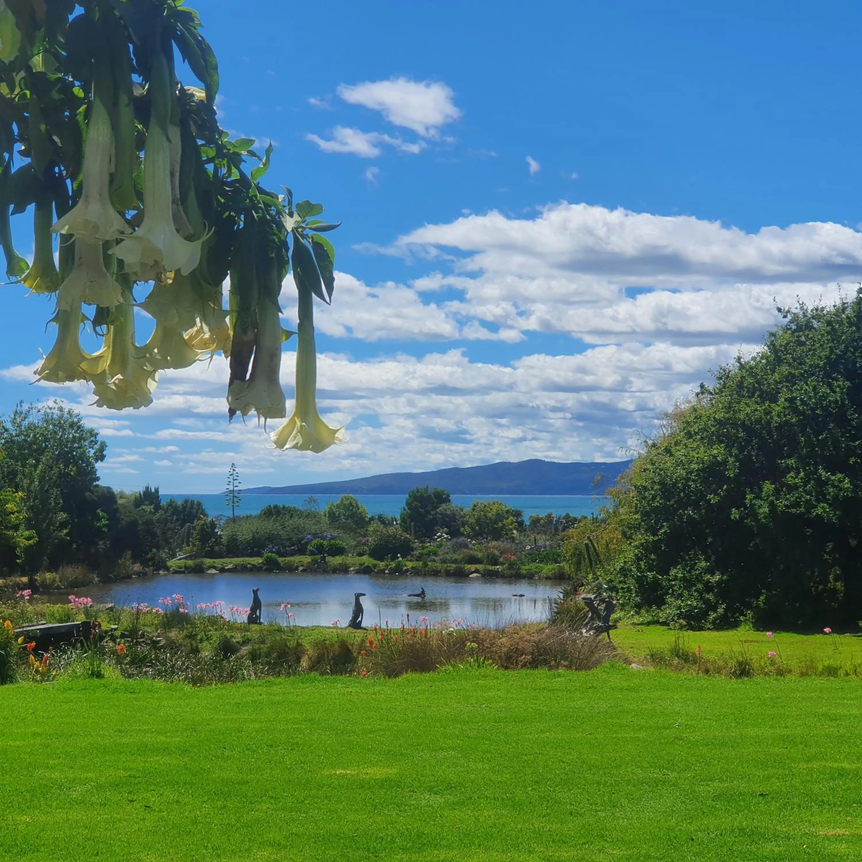 Garden view in Hawley House