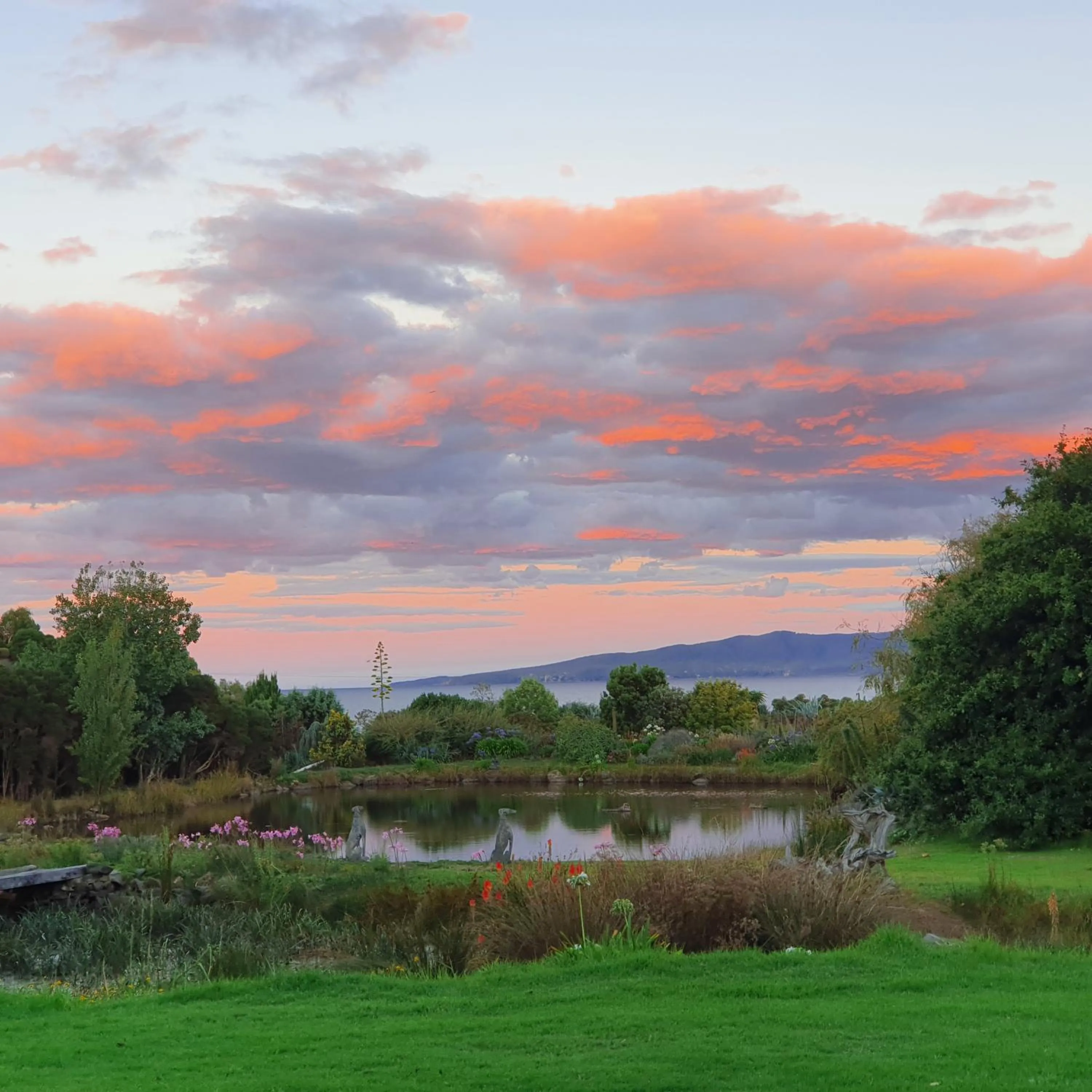 Garden view in Hawley House