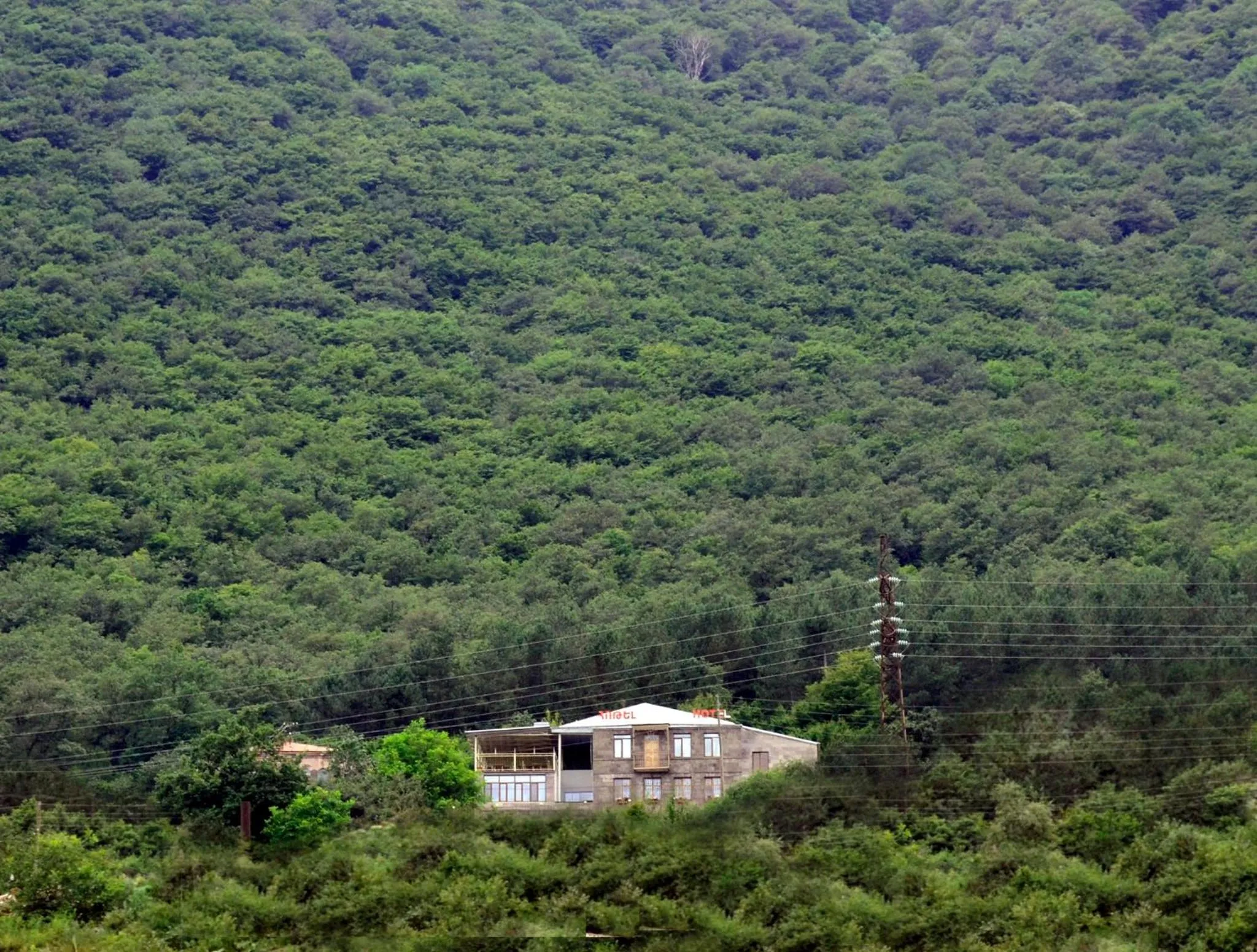 Yeghevnut Hotel