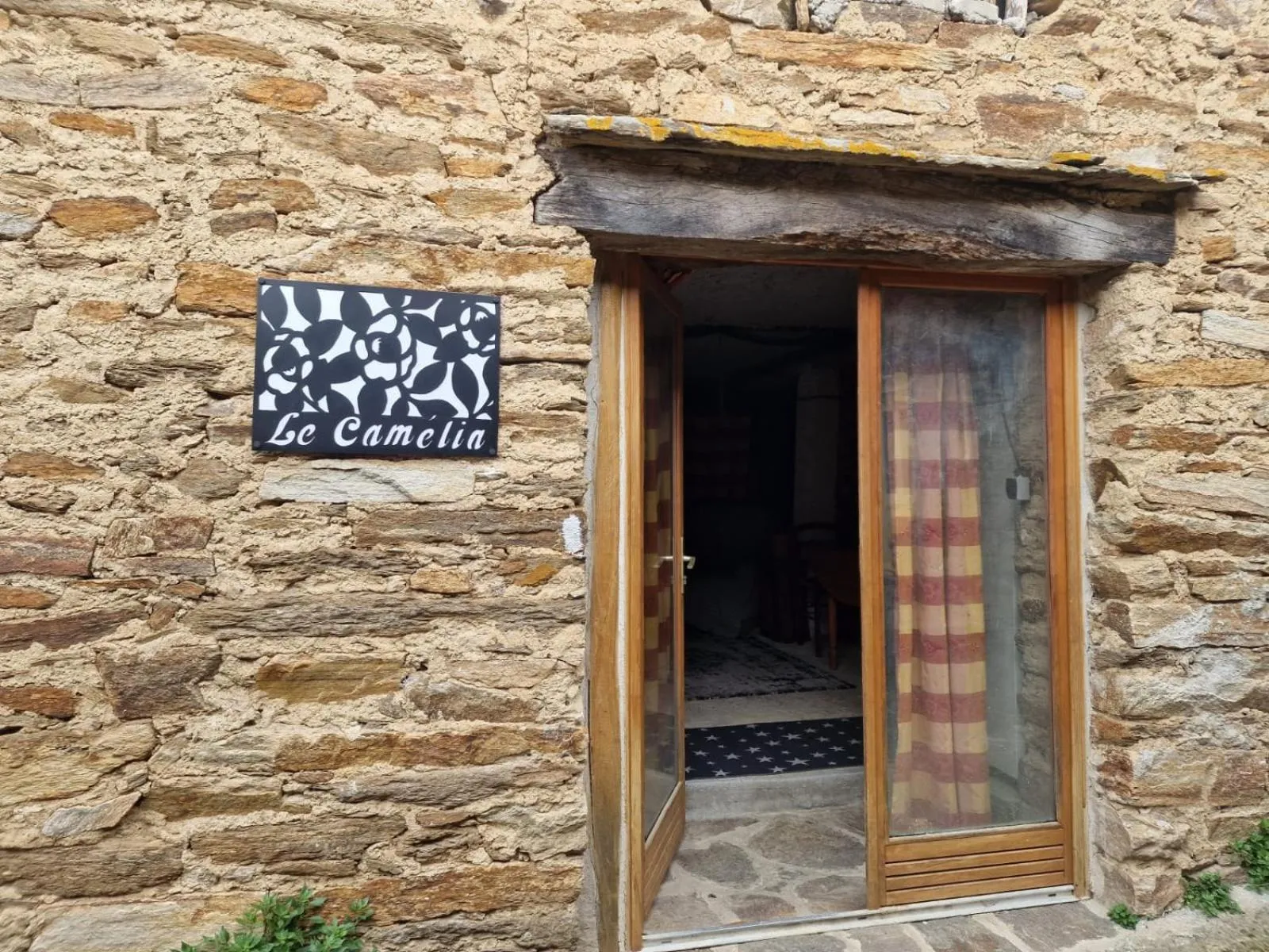 Le camélia de la mazarié