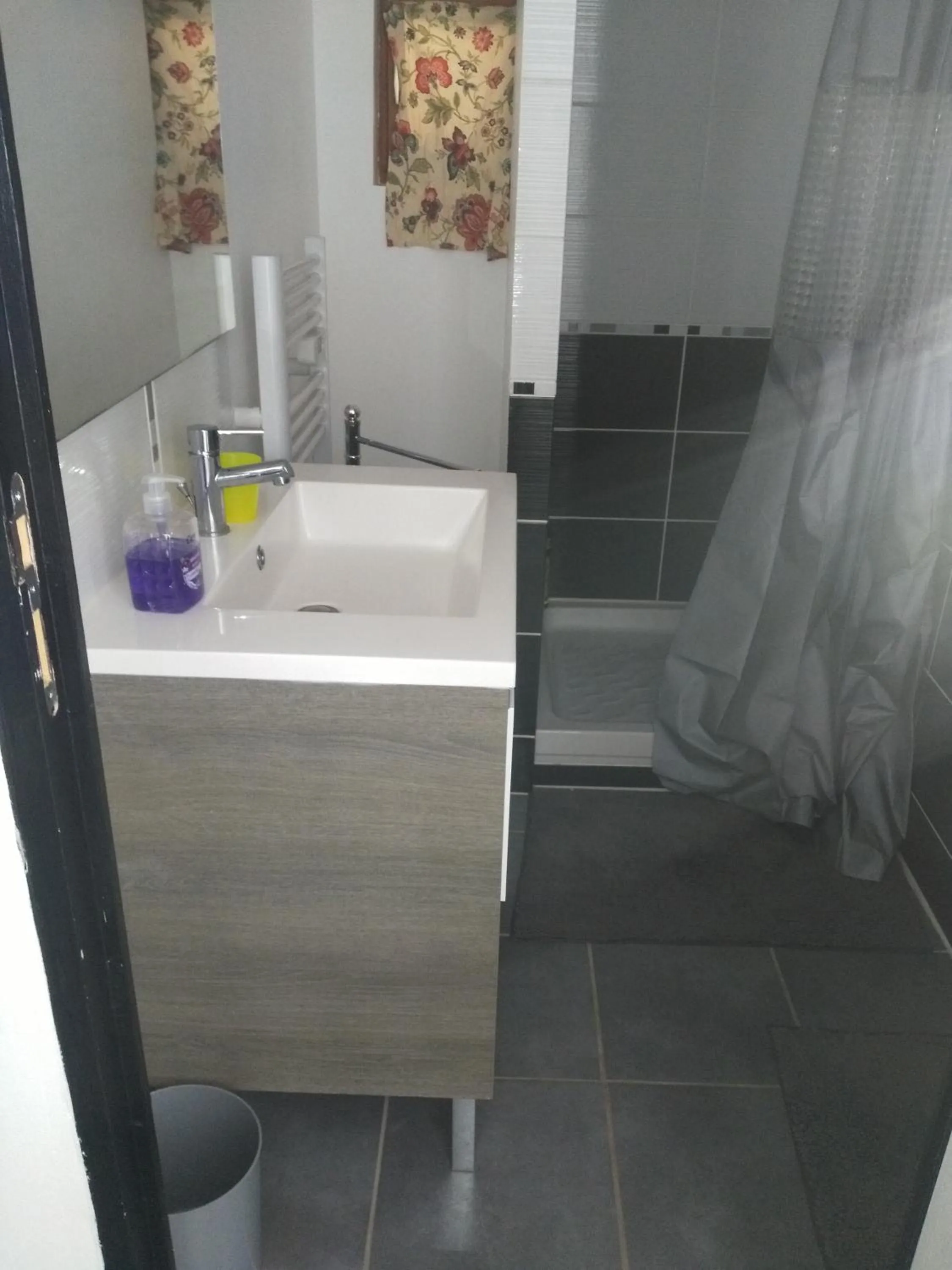 Le camélia de la mazarié