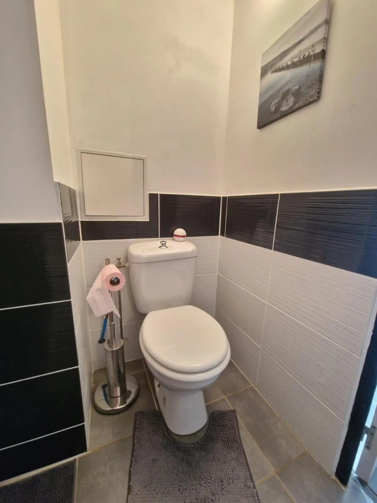 Le camélia de la mazarié