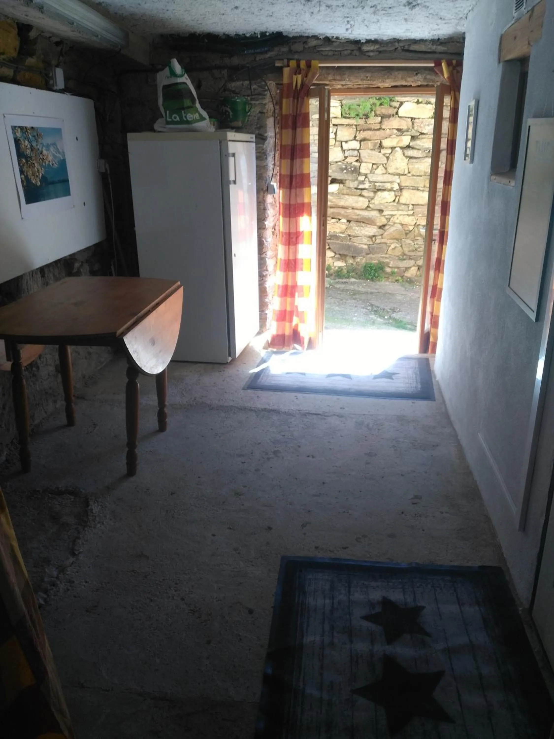 Le camélia de la mazarié