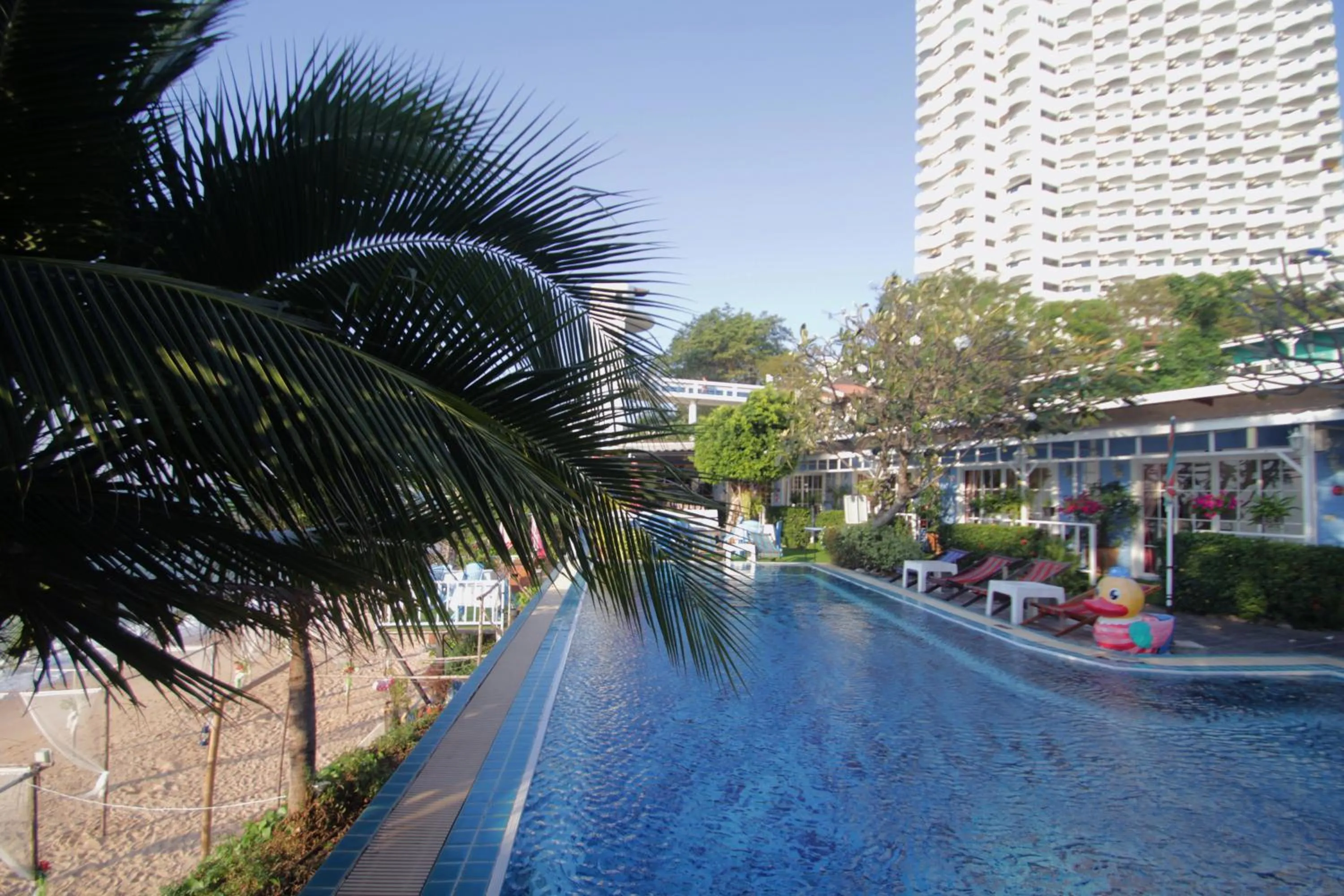 Swimming pool in Pattaya Paradise Beach Resort