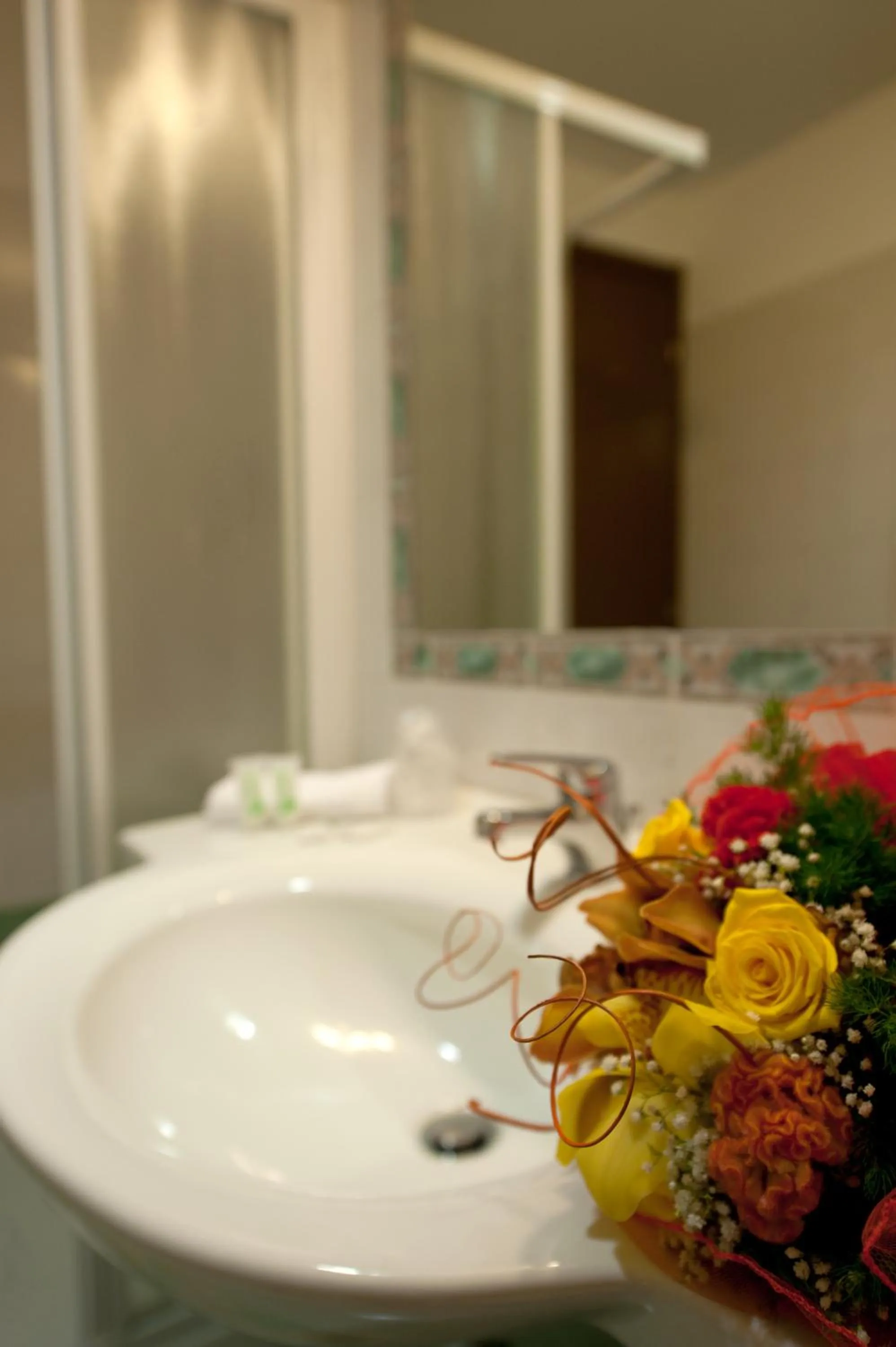 Shower in Hotel Roma