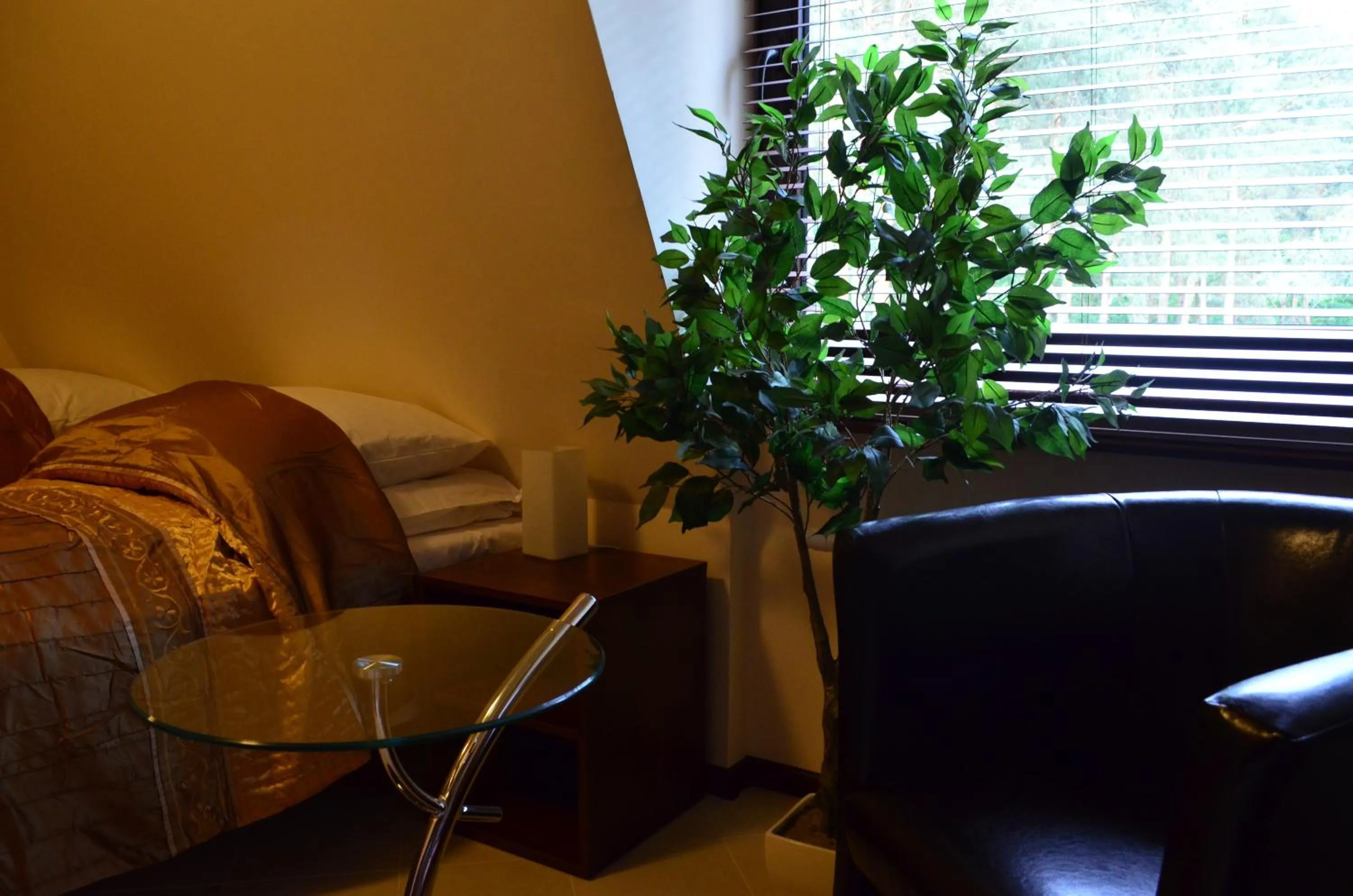 Photo of the whole room in Camping Motel WOK