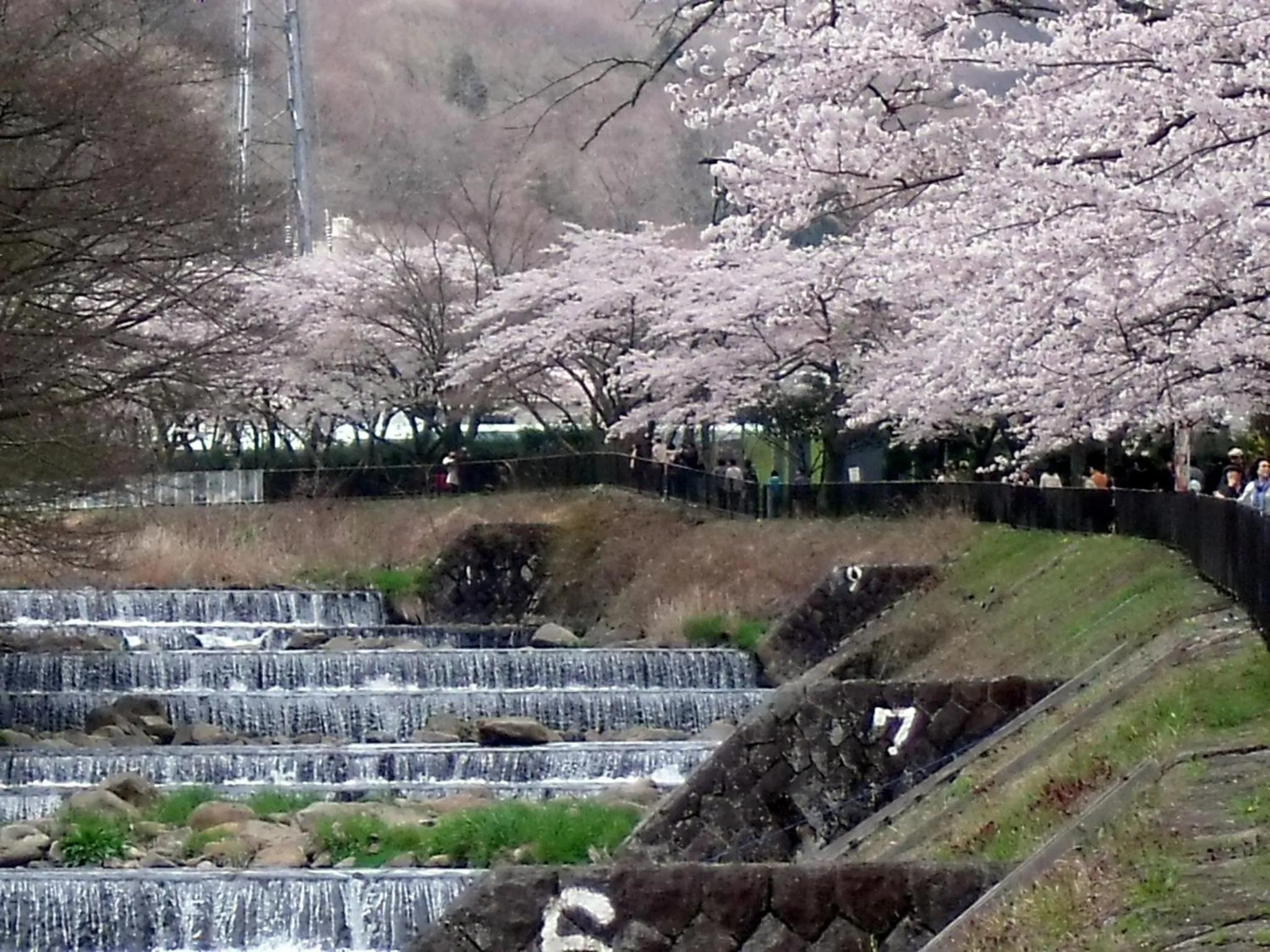 Spring in HAKONE GORA ONSEN Hotel Kasansui