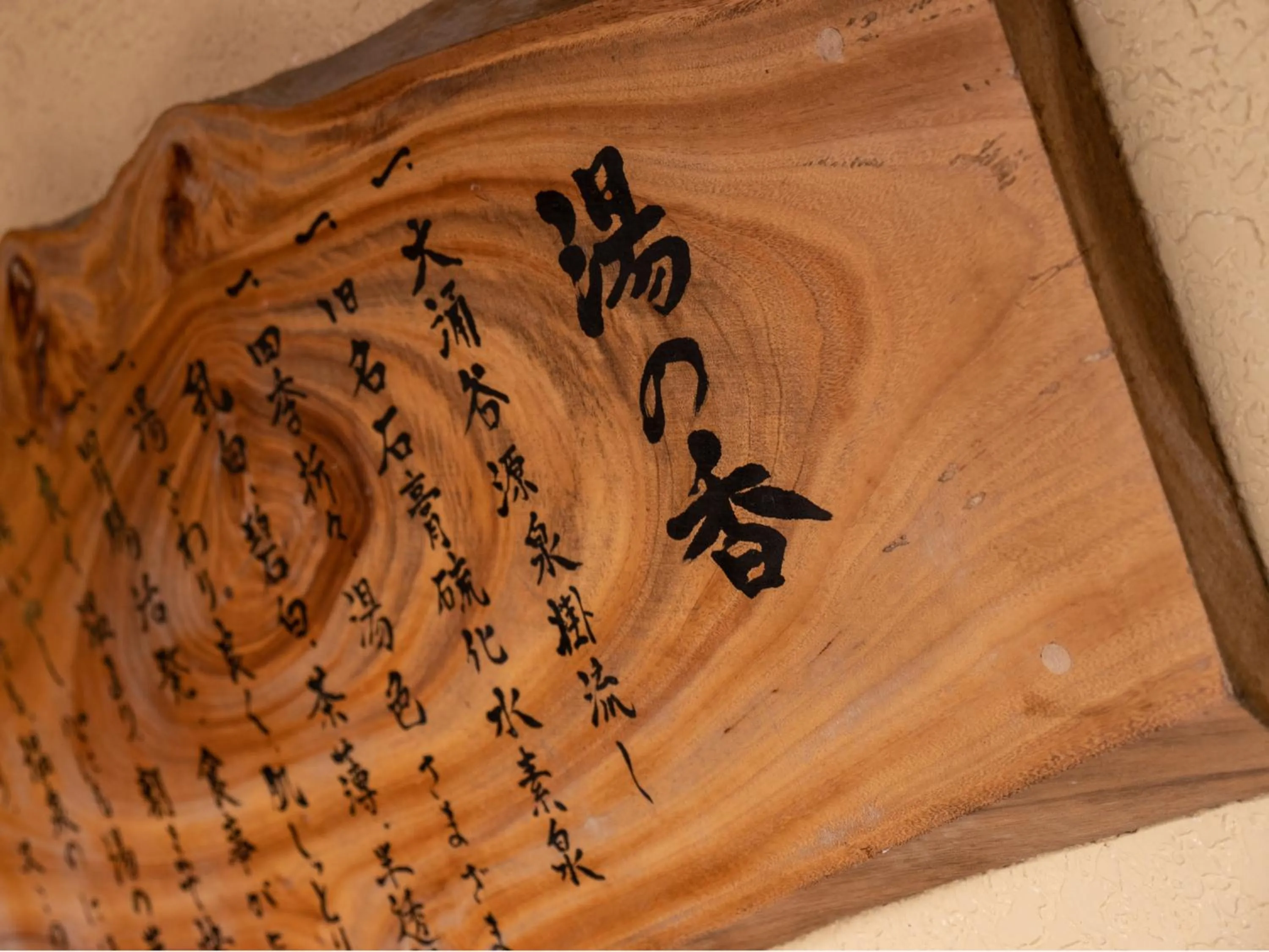 Hot Spring Bath in HAKONE GORA ONSEN Hotel Kasansui